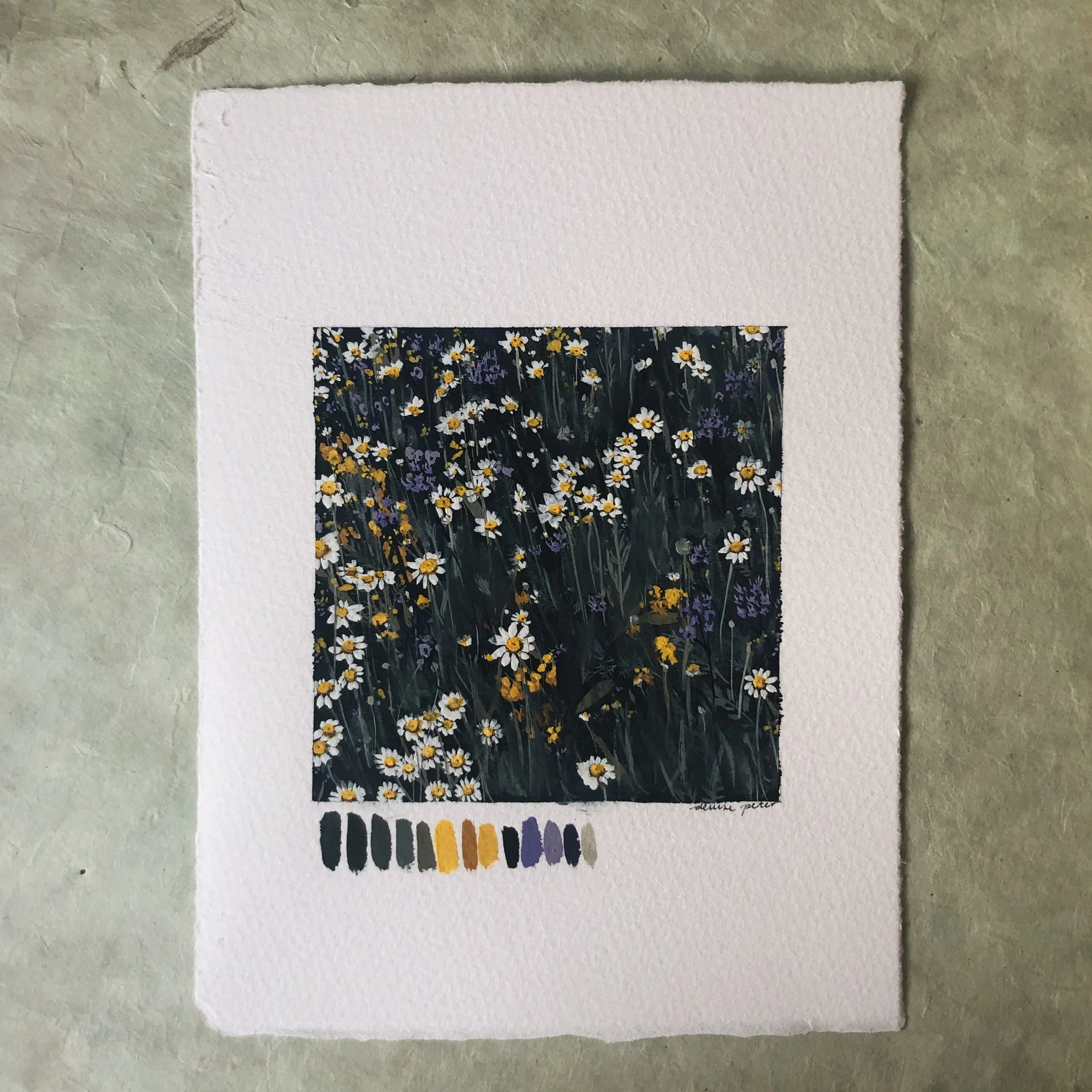 12/30 marguerites and lacy phacelia 