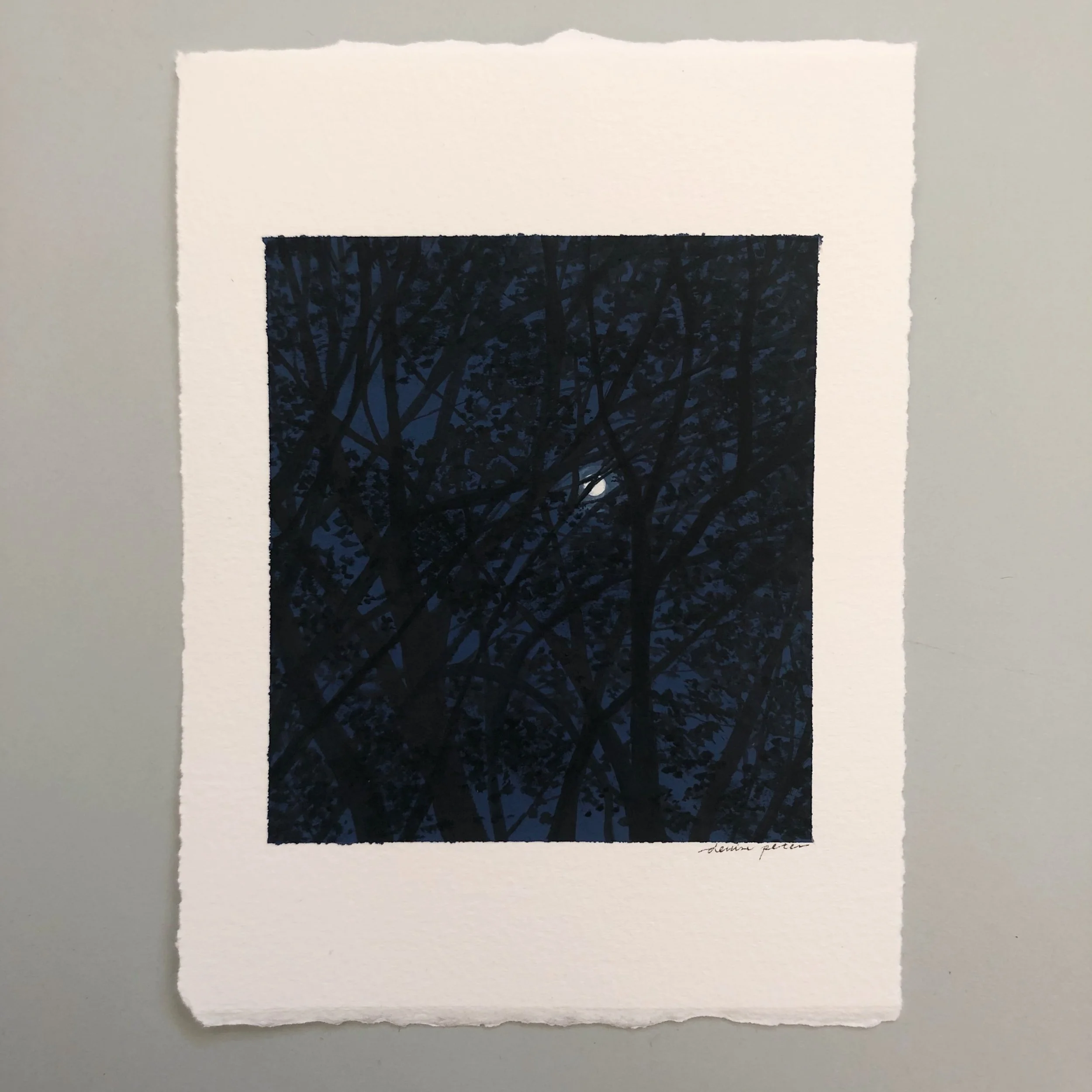 26/30 canopy moon