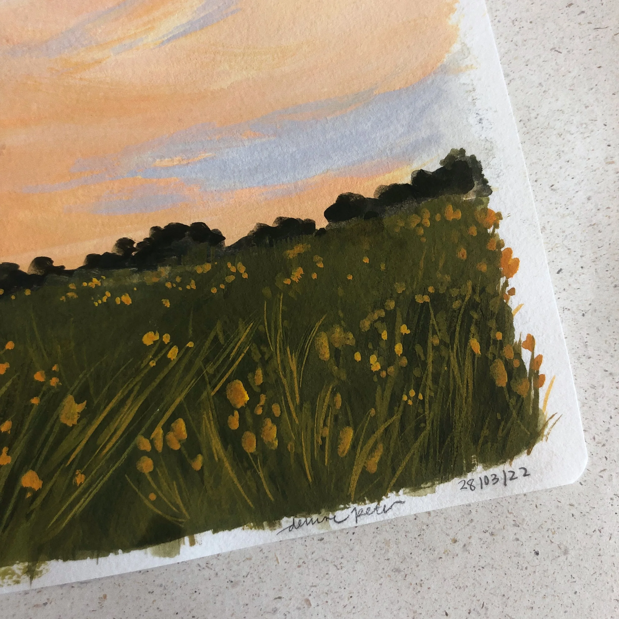 golden hour painting orange sky flowerfield