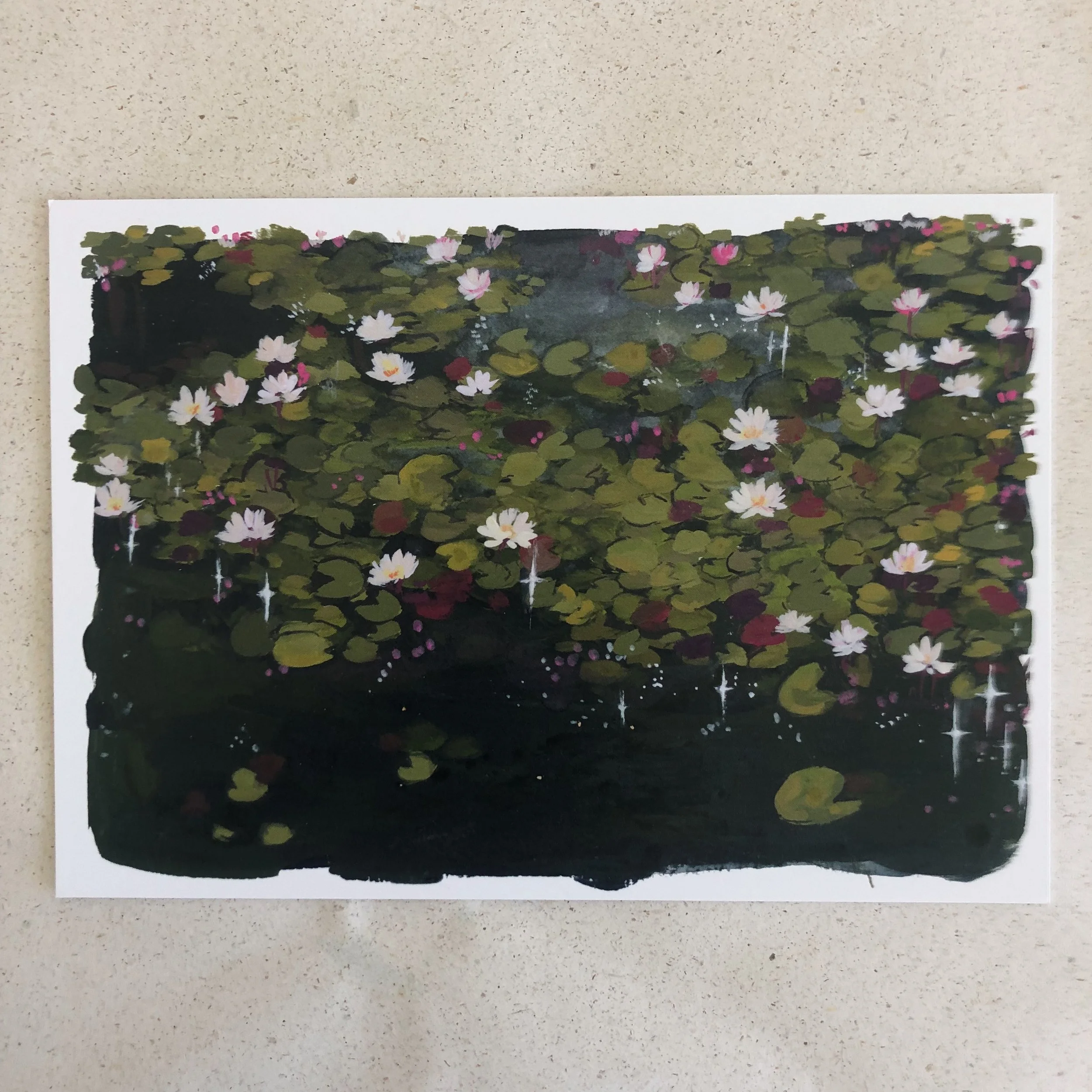 Nymphaea - Seerosen - Water lily print