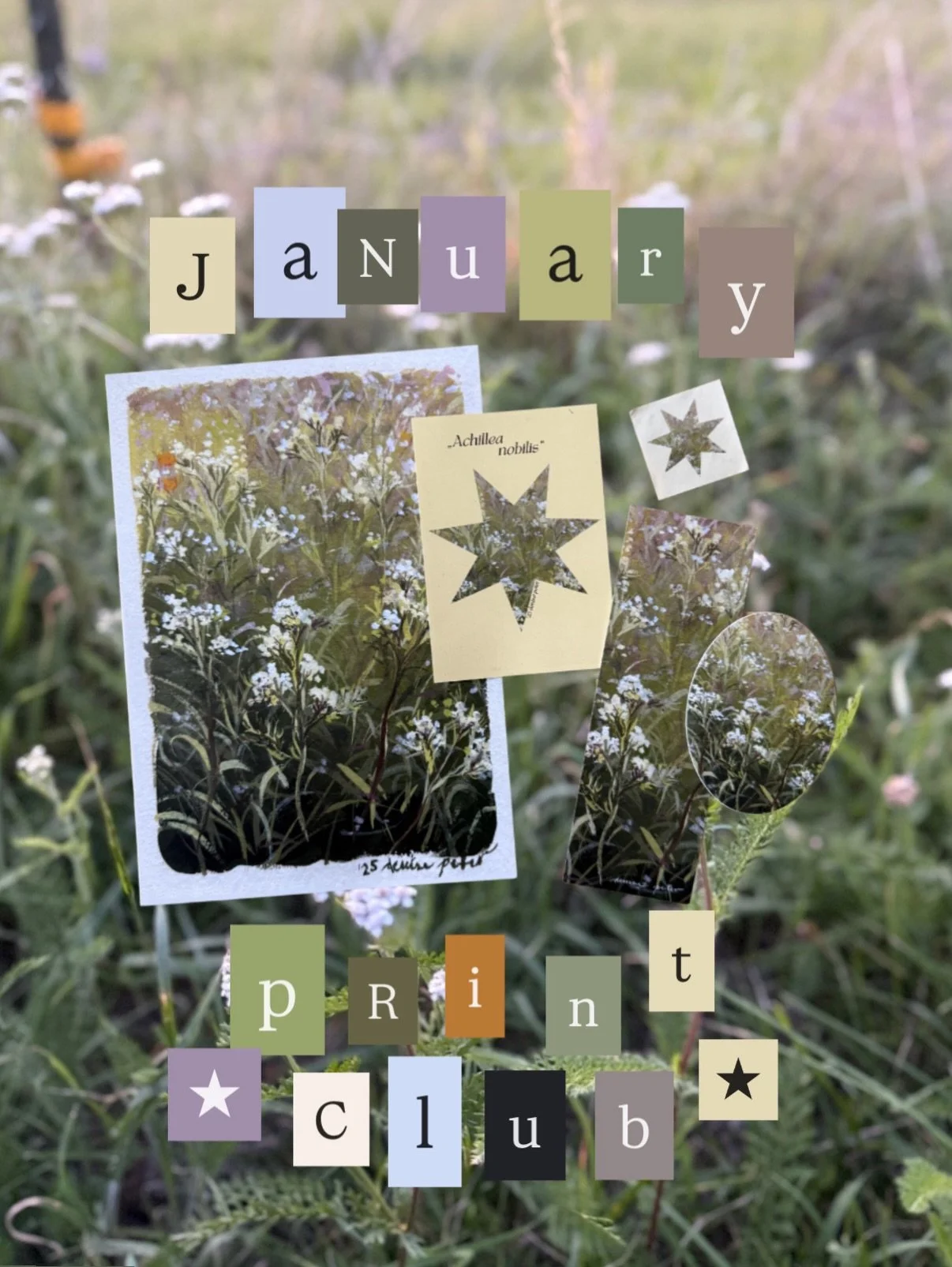 Januarys print club letter!!! You can sign up until the 31st of January to get this in the mail!! We&rsquo;re at 75 print club members now eeeeeeeek ★★★ Thanks everyone!!! These letters are my favourite thing to create and pack so I&rsquo;m feeling v