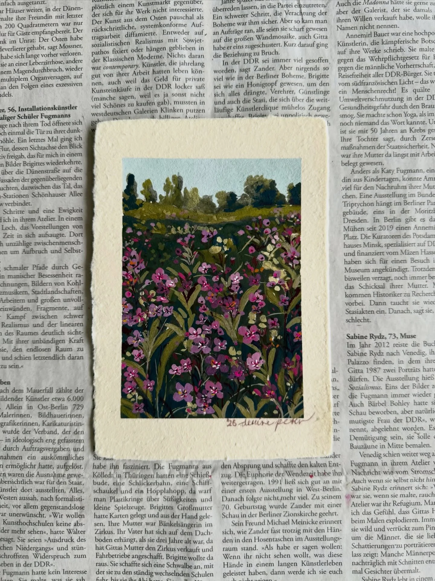 &bdquo;Phlox paniculata II&ldquo;, gouache on handmade paper