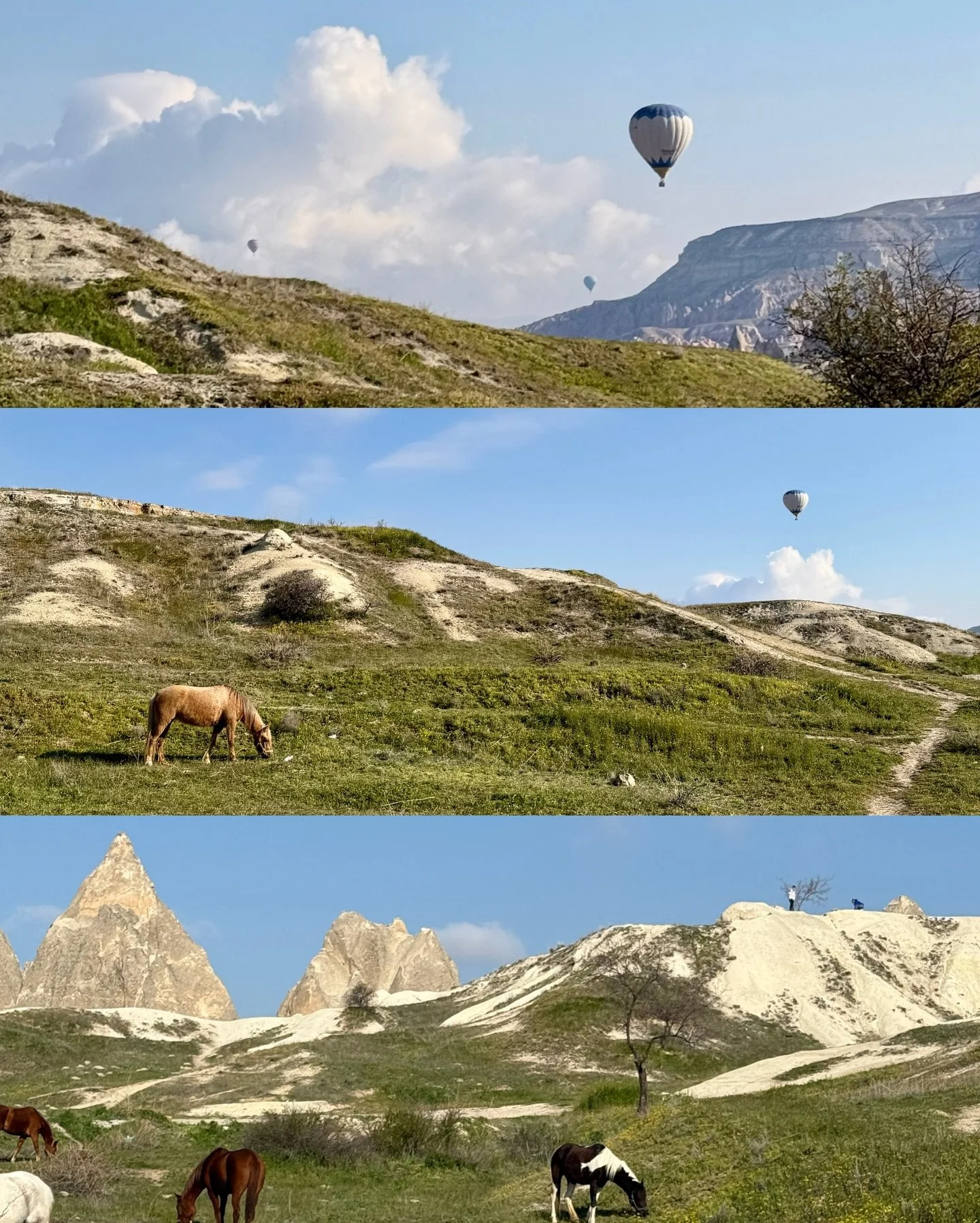 Wild chamomile, almond blossom, hot air balloons and the sun rising, heart shaped lockets and little bees, last week was filled with so much love.