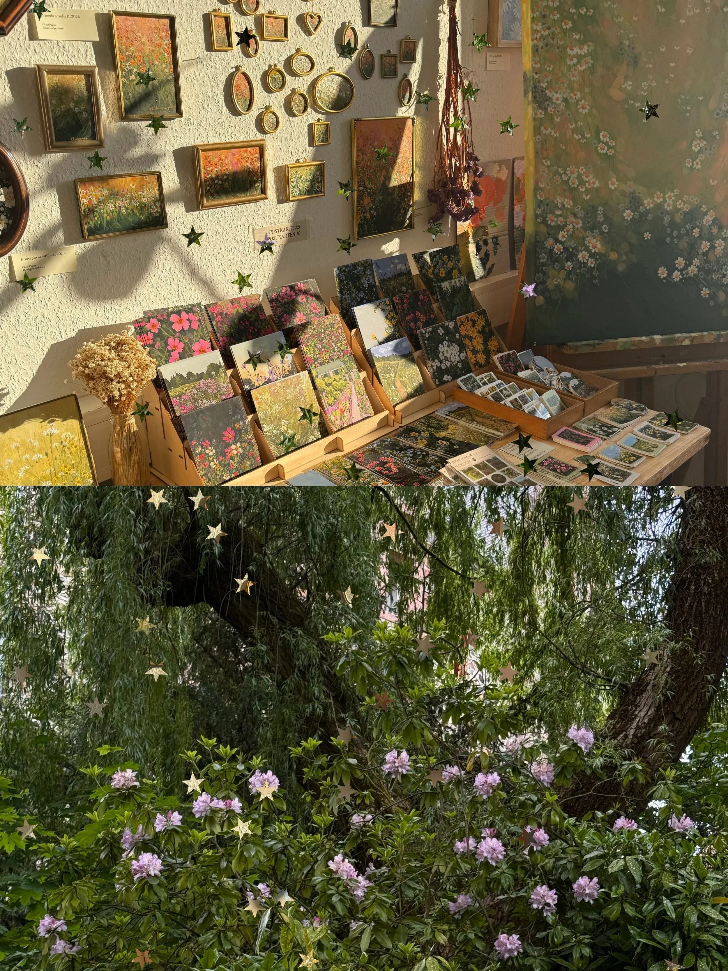 Open studio, botanical gardens, ceramics and painting again, watermelon with lime and hot summer days ✮⋆˙