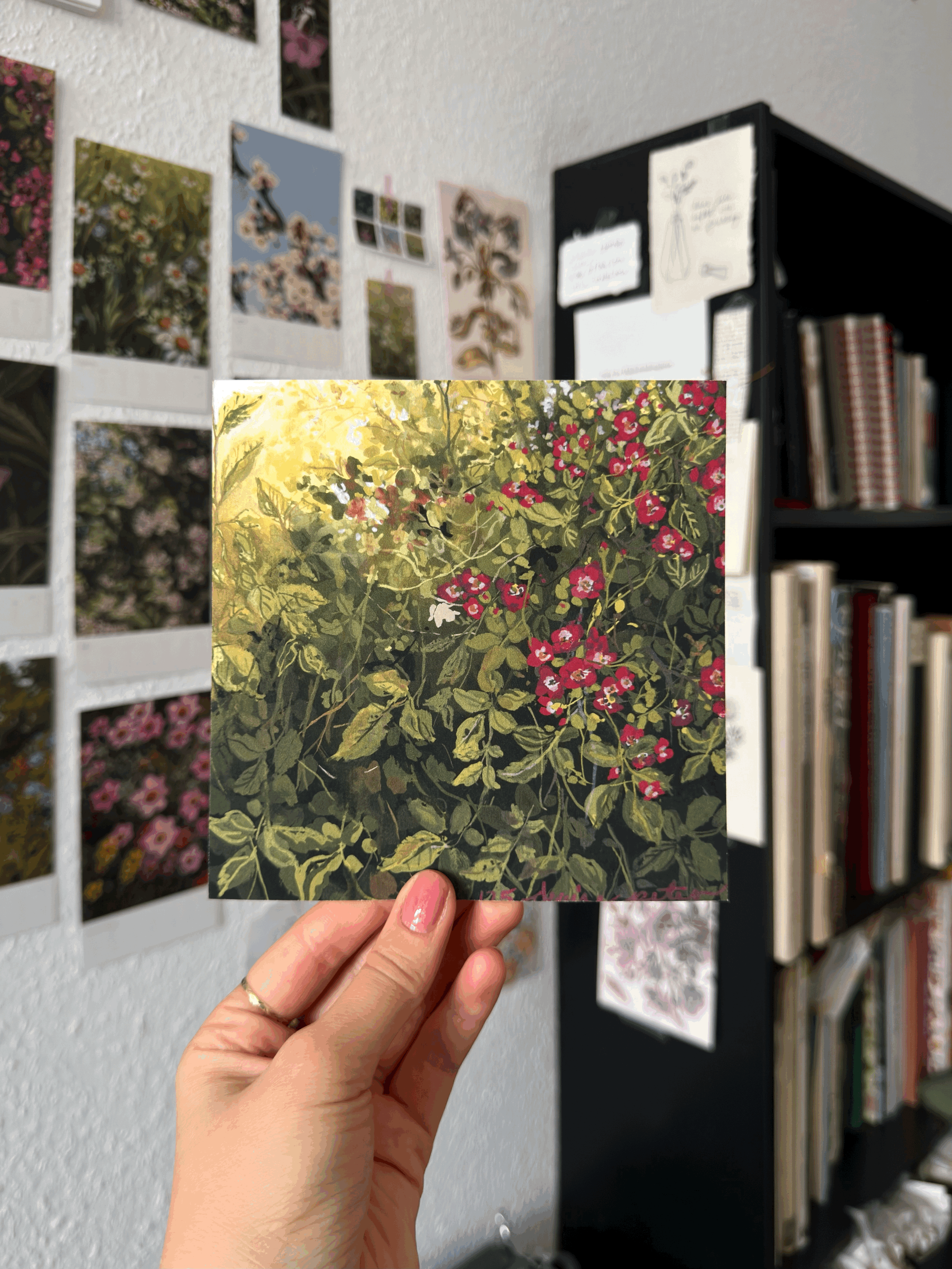 Rosa pendulina II print