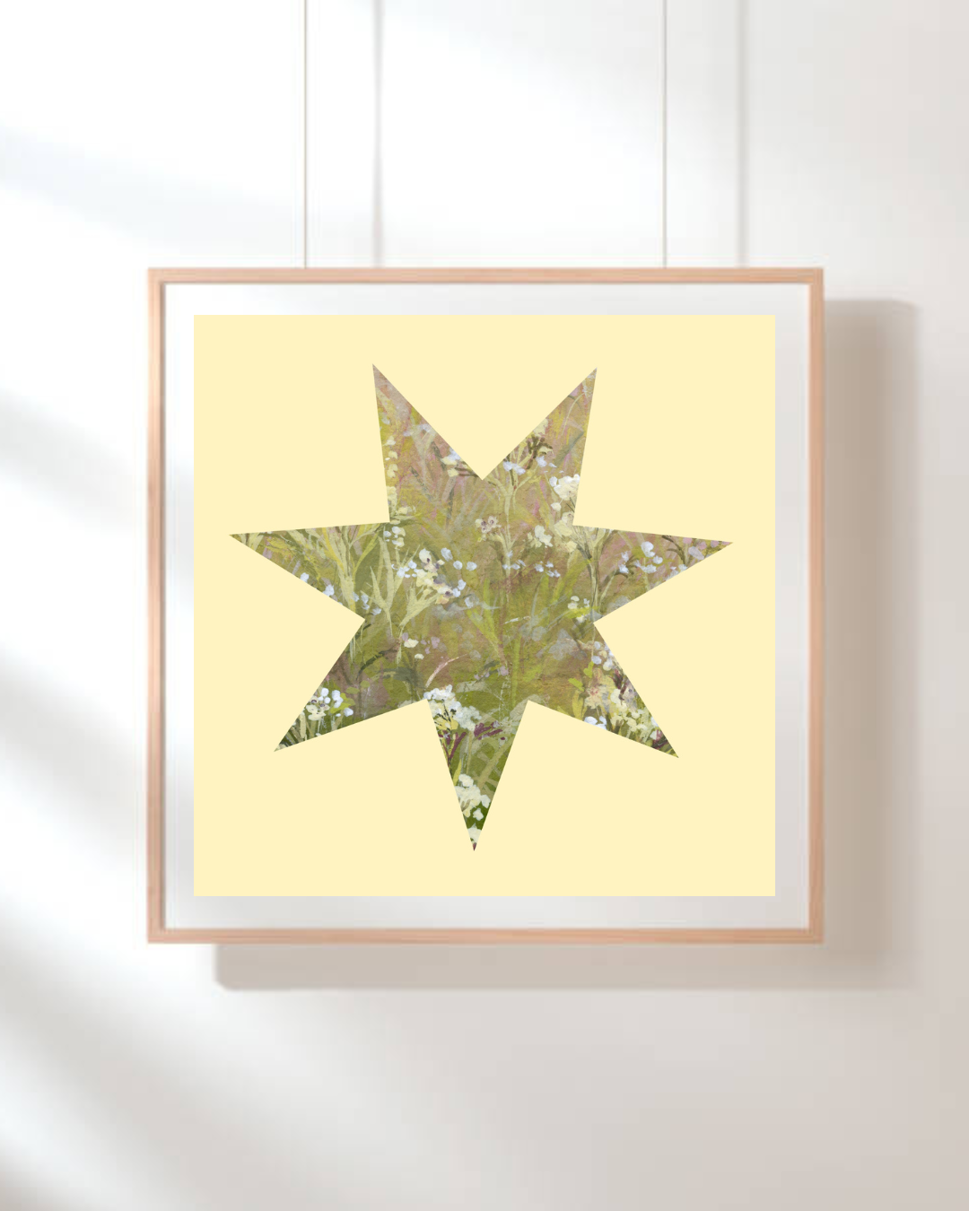 Achillea nobilis star print