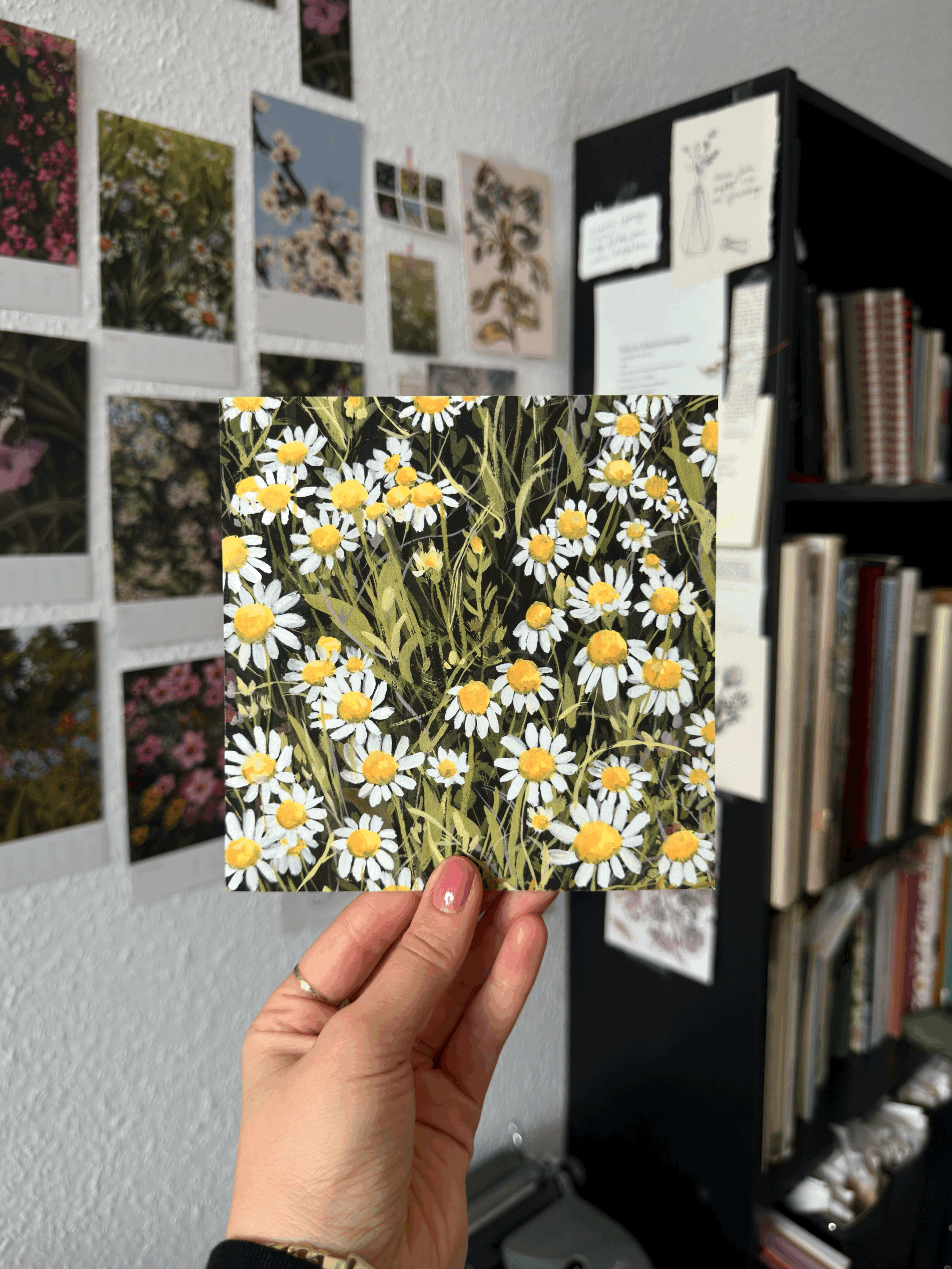 Anthemis arvensis II print