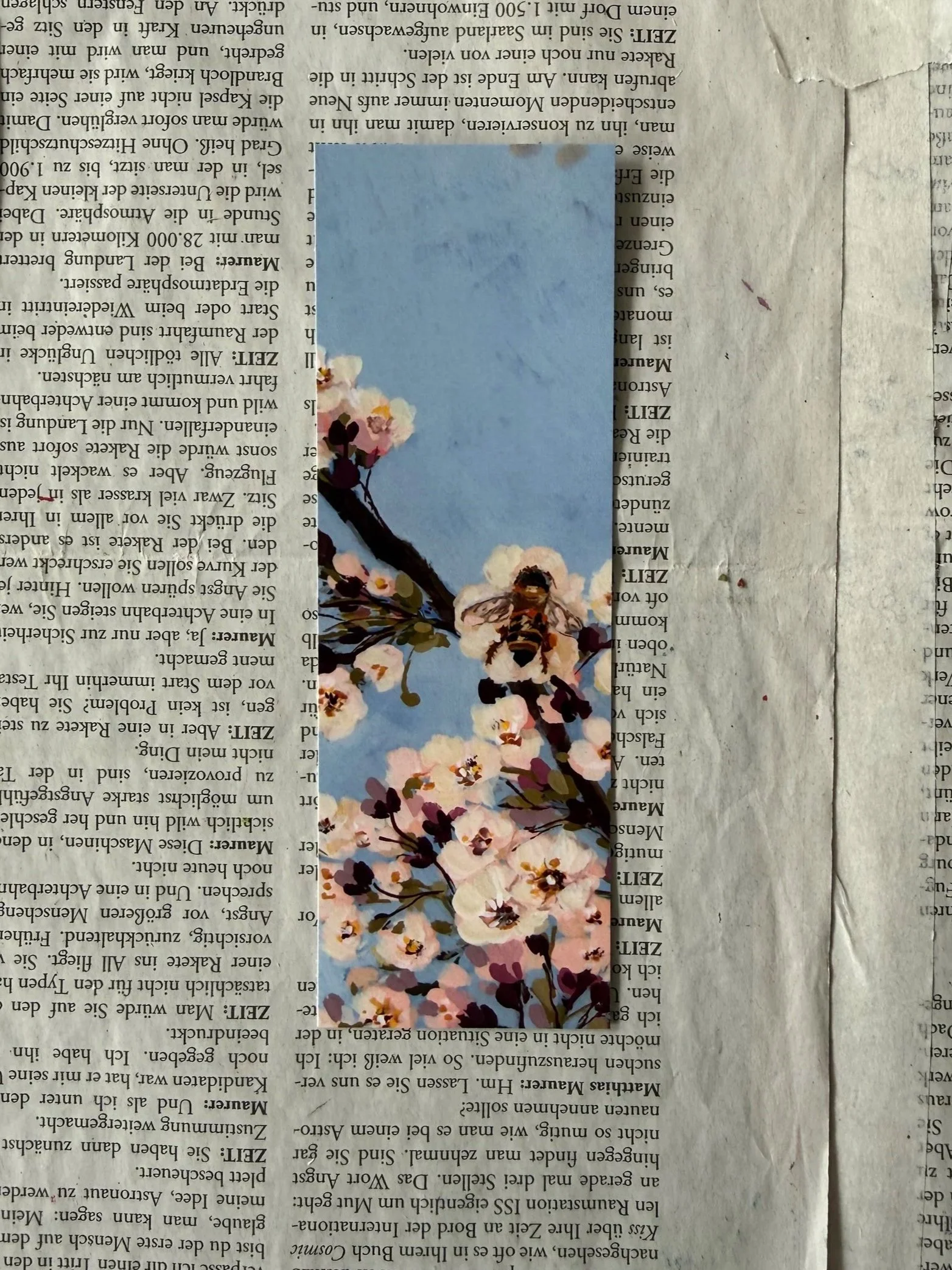 Prunus cerasus bookmark