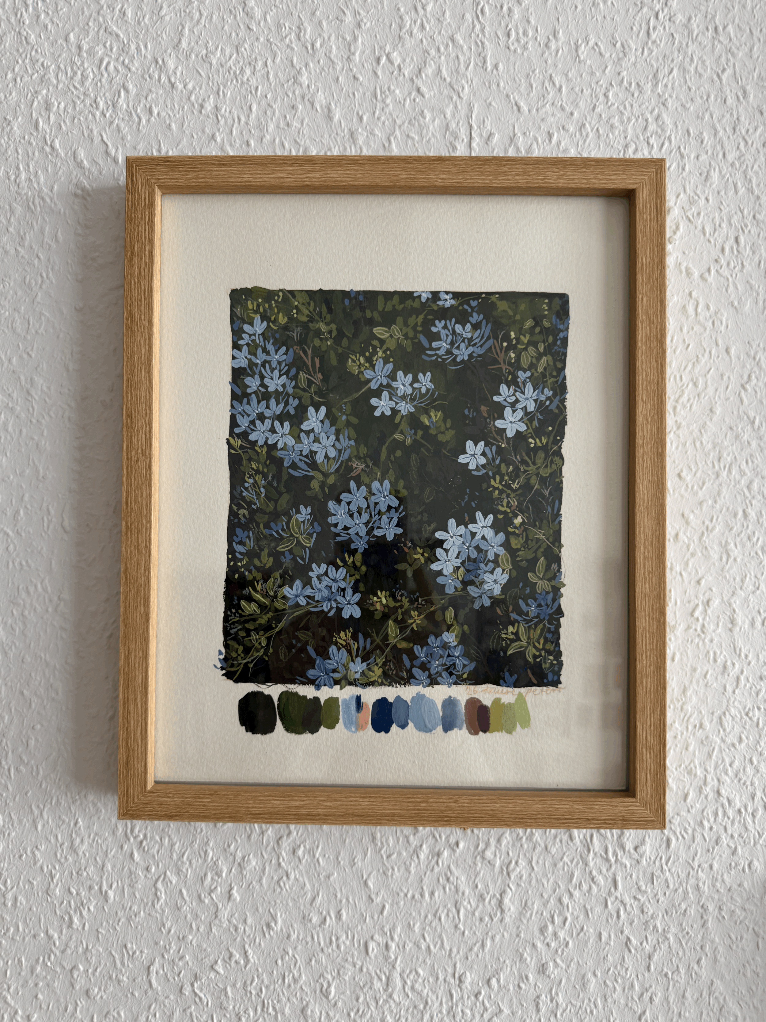 Plumbago auriculata IV