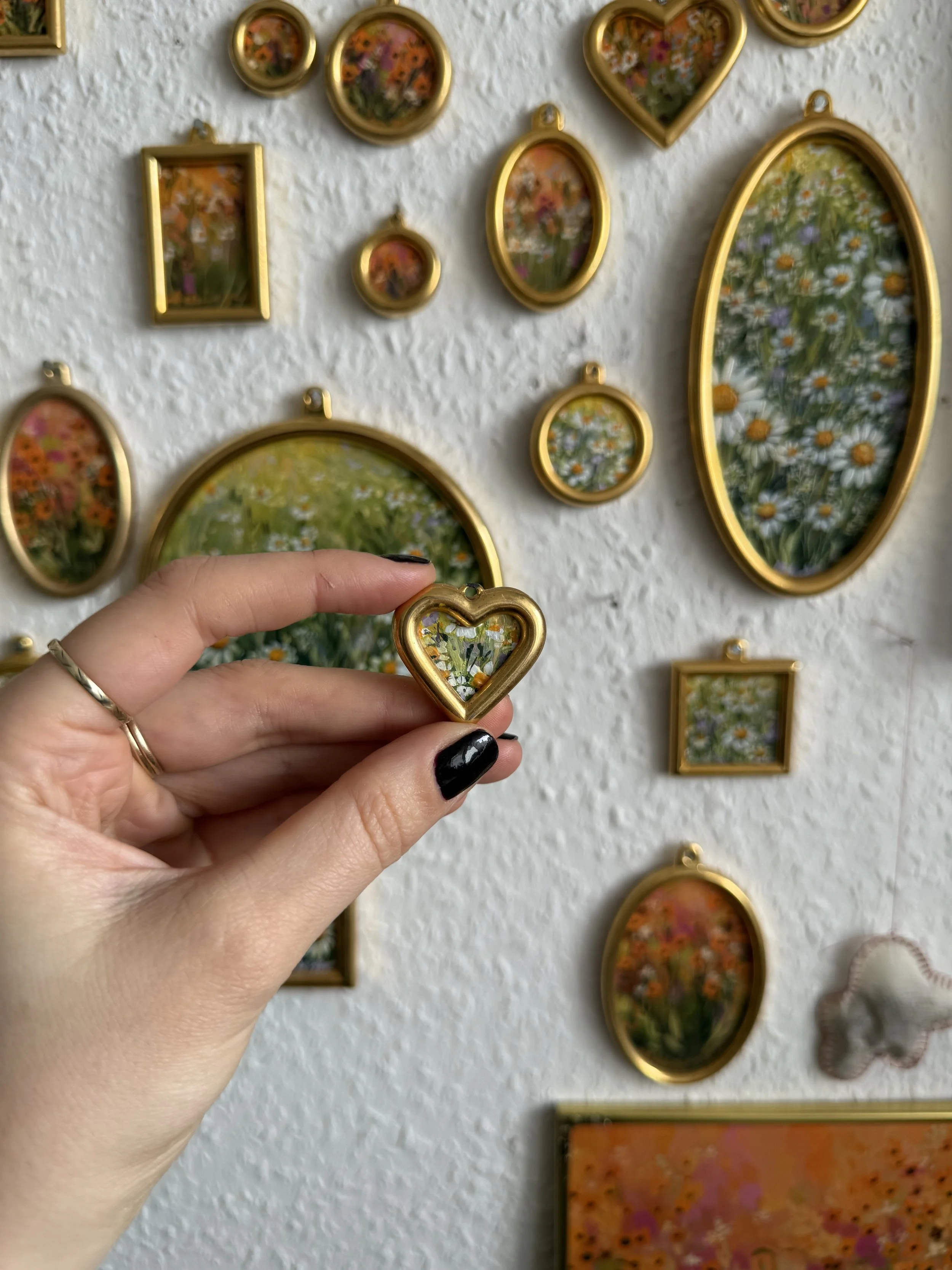 Leucanthemum vulgare VVI