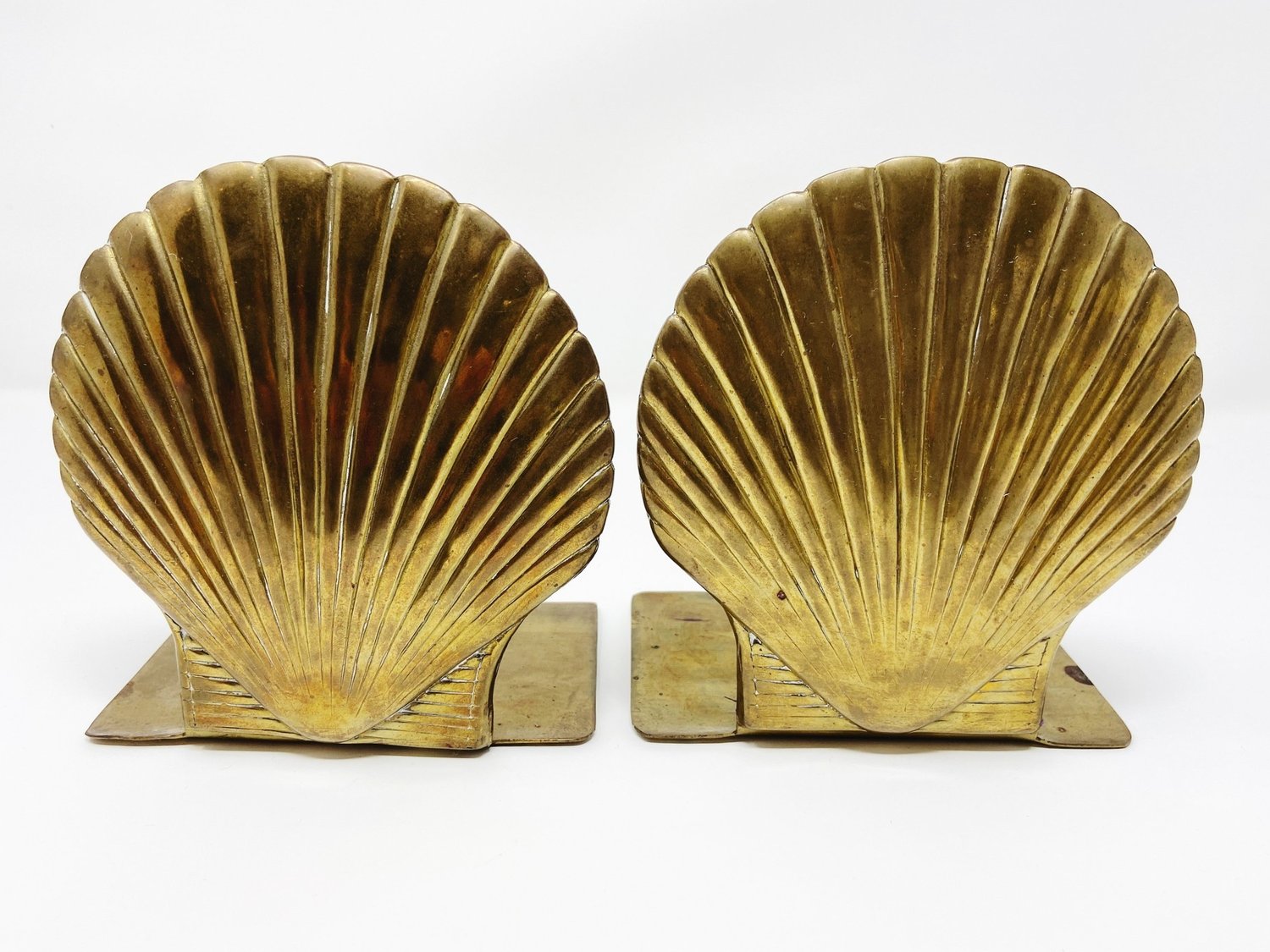 Brass Shell Bookends — Sunshine State Studios