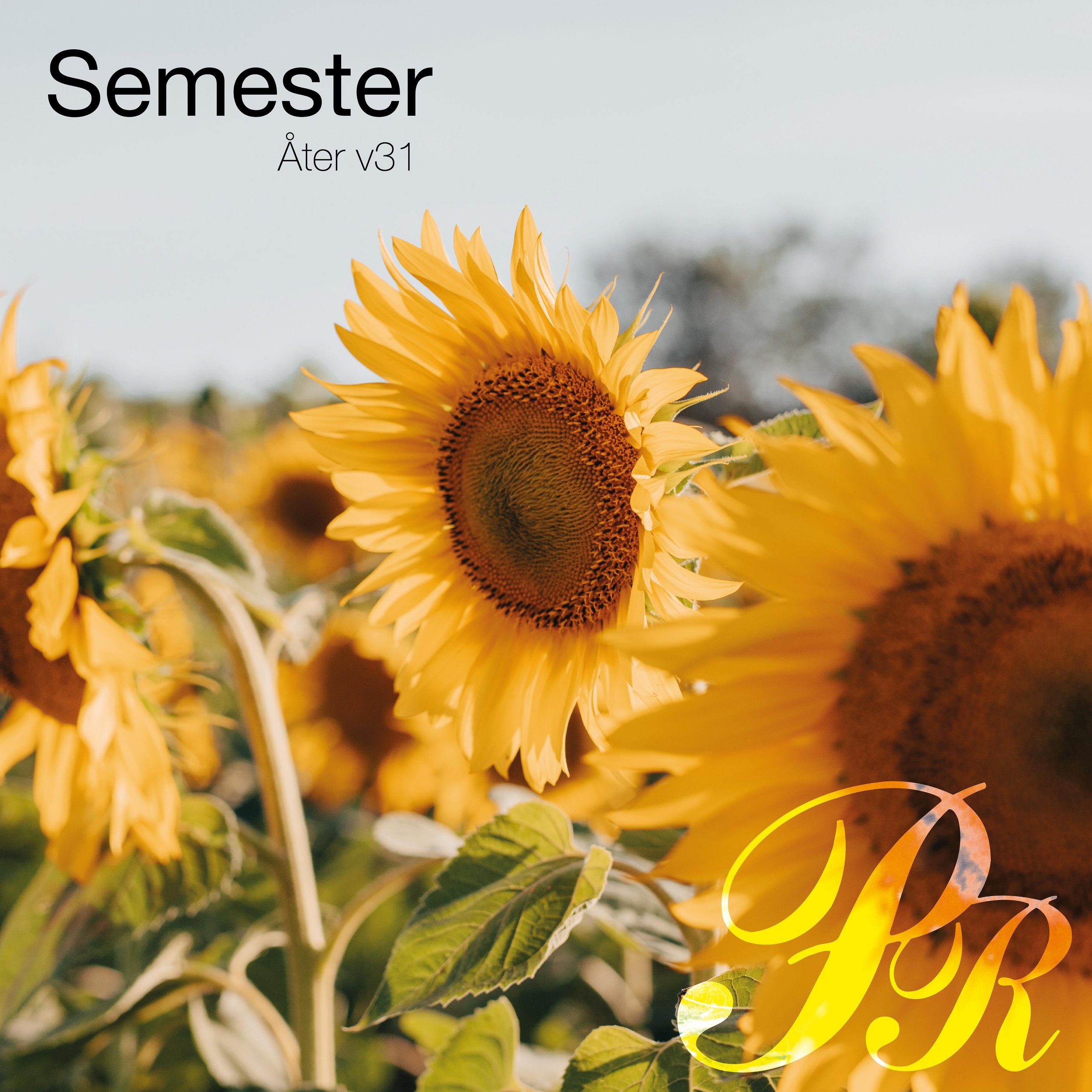 Nu tar vi lite sommarledigt och &auml;r tillbaka vecka 31. Ha det g&ouml;tt s&aring;l&auml;nge!

#semester #tryck #proffsetgrafiska