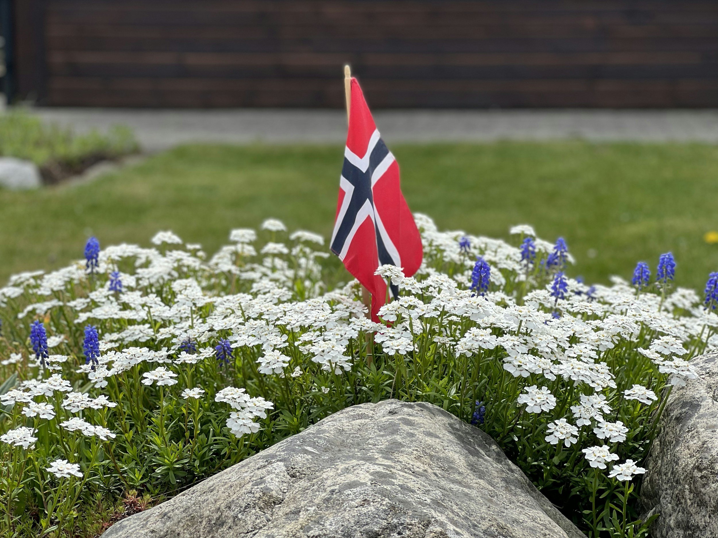 17. Mai Frokost/Hage fest