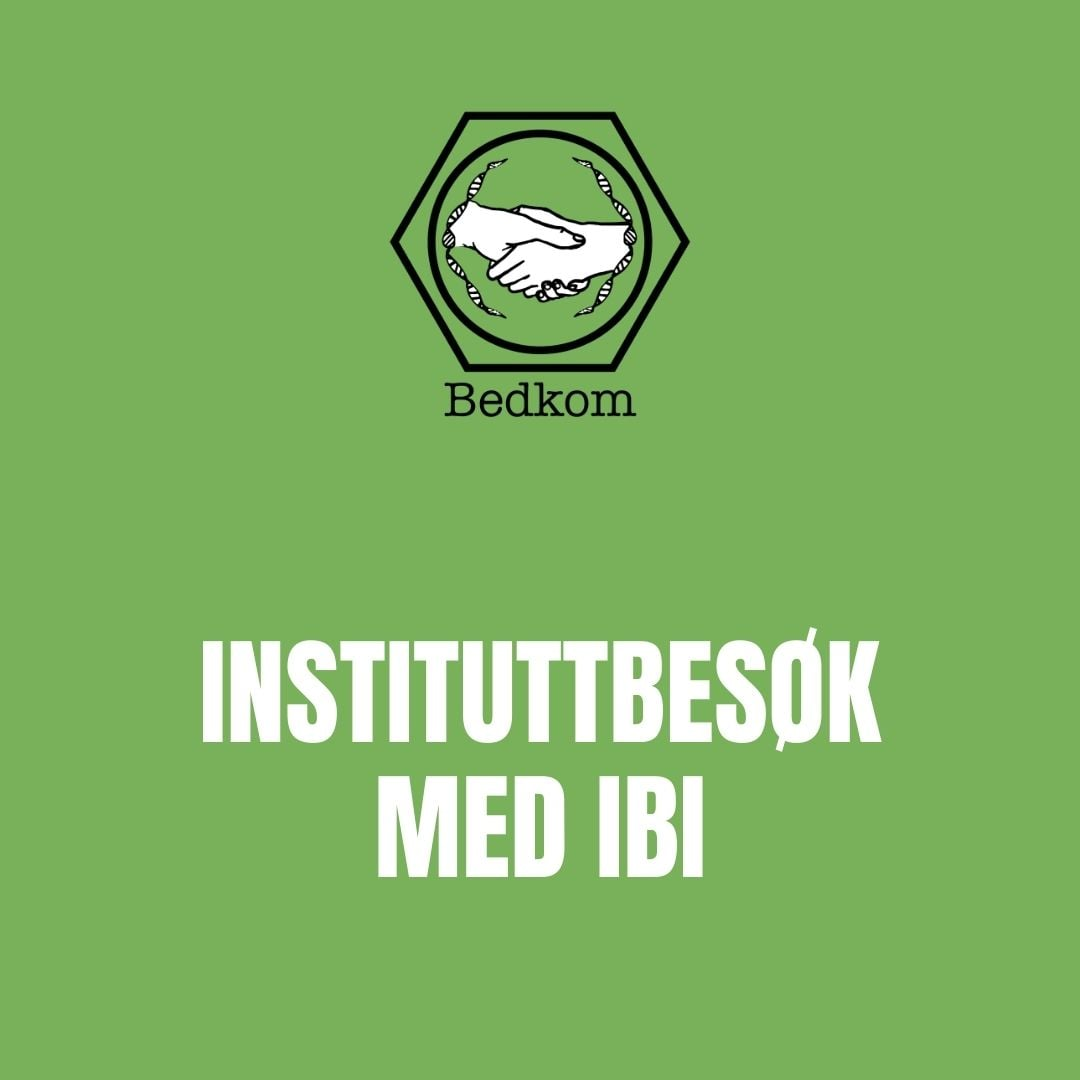 Instituttbesøk med IBI