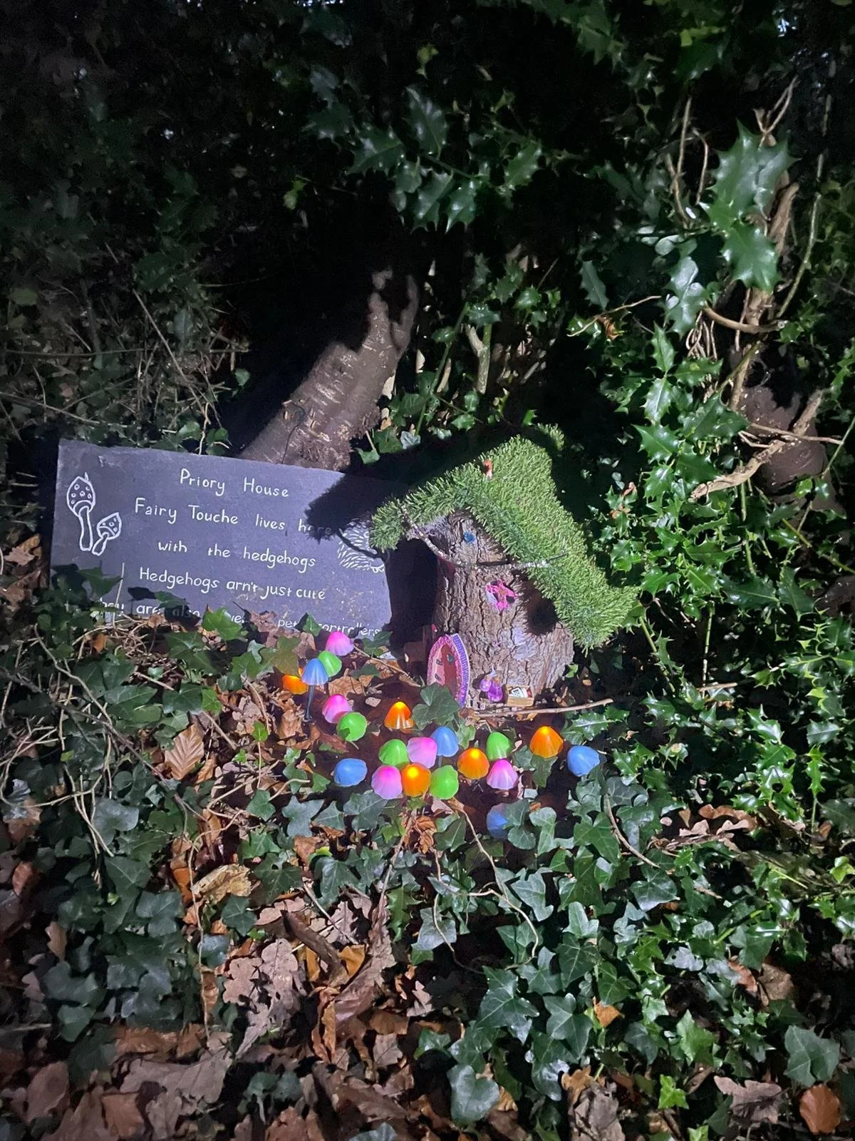 The NEW Fairy trail - thank you TY Students and DTT!