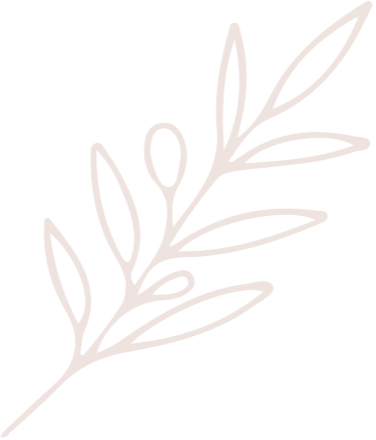 Stylized illustration of a sprig with leaves, drawn with brown lines.