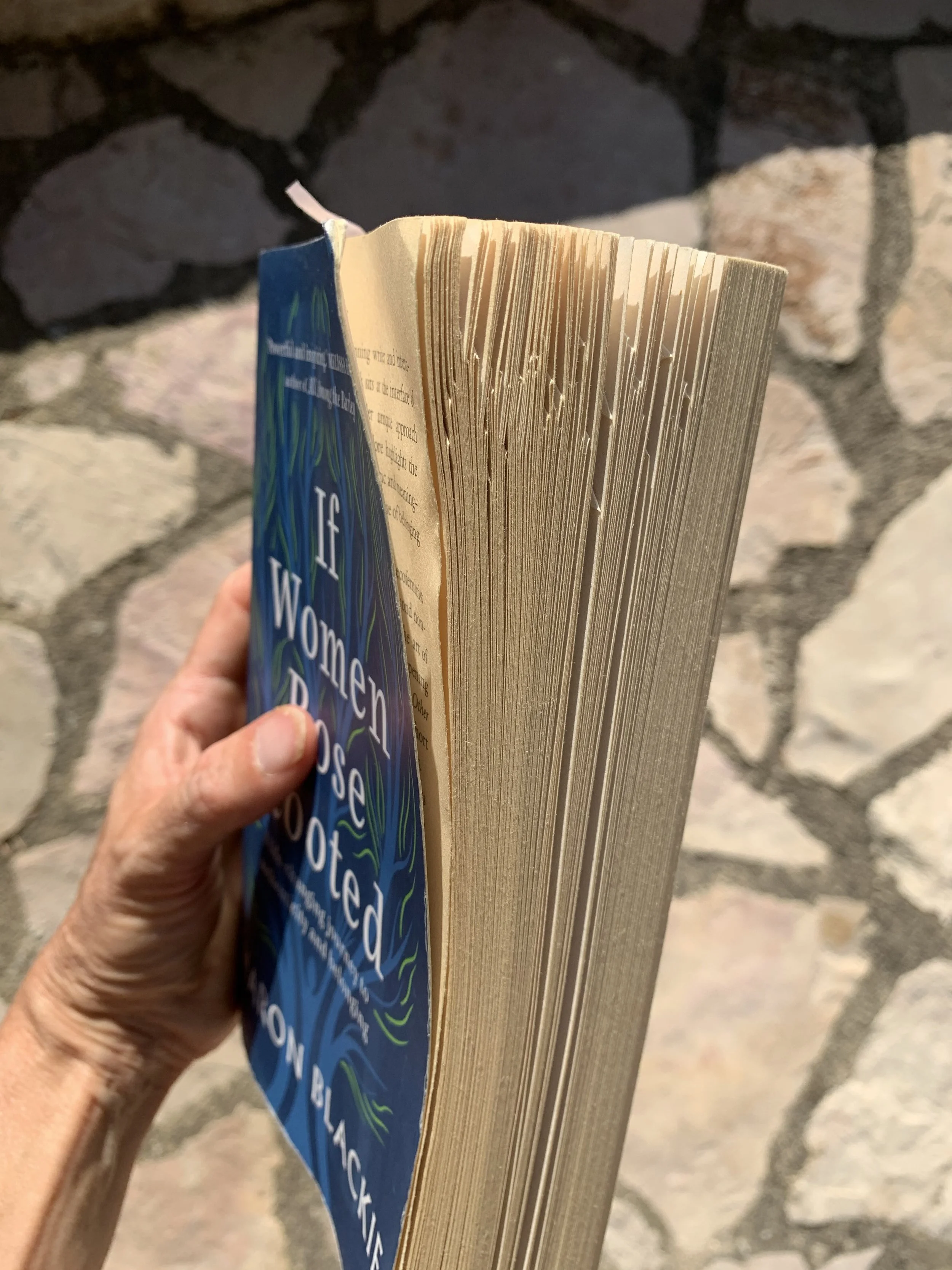 A used copy of the book If Women Rose Rooted with page corners turned over.