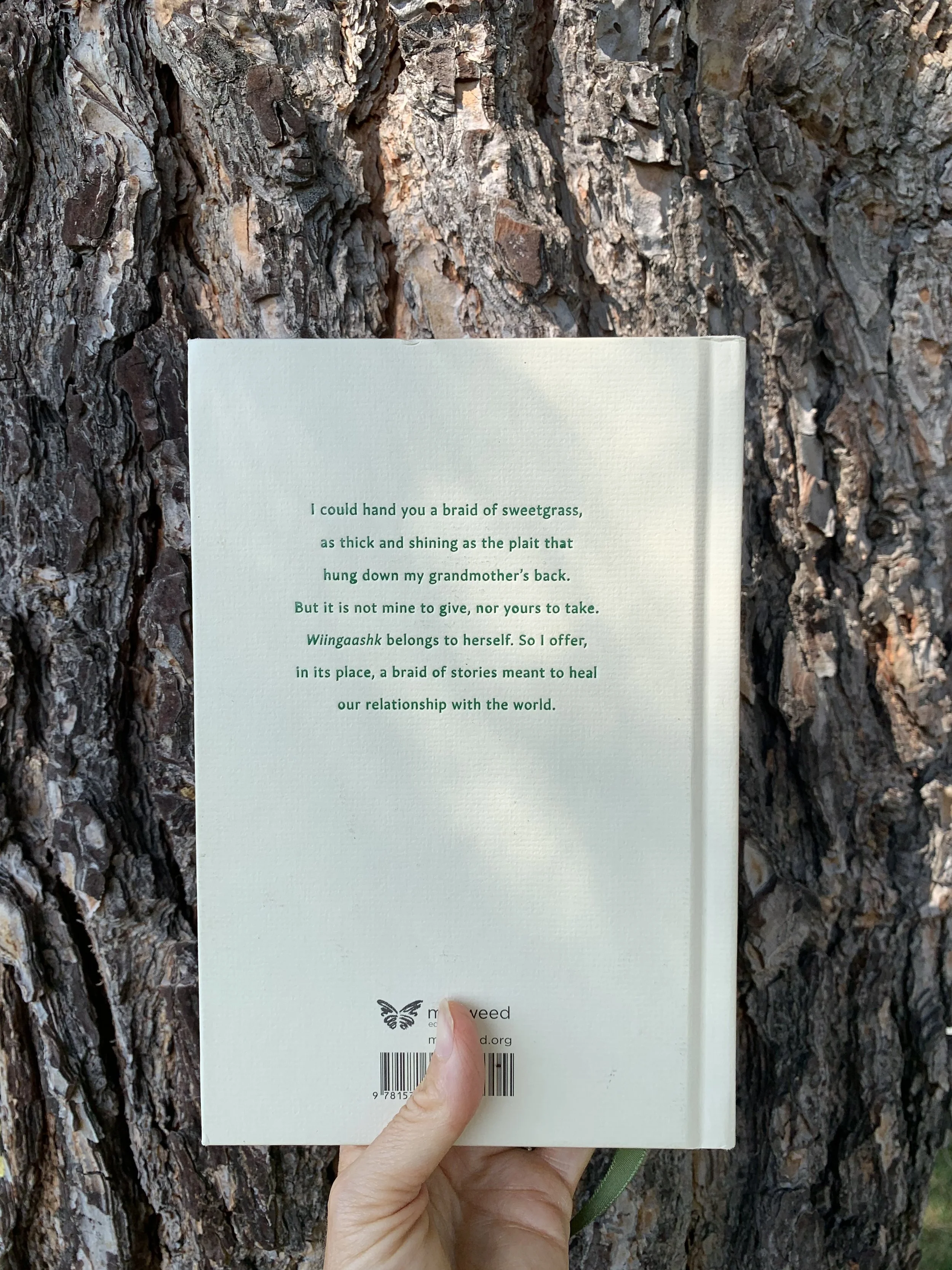 Back cover of the book Braiding Sweetgrass held in front of a tree trunk.jpeg