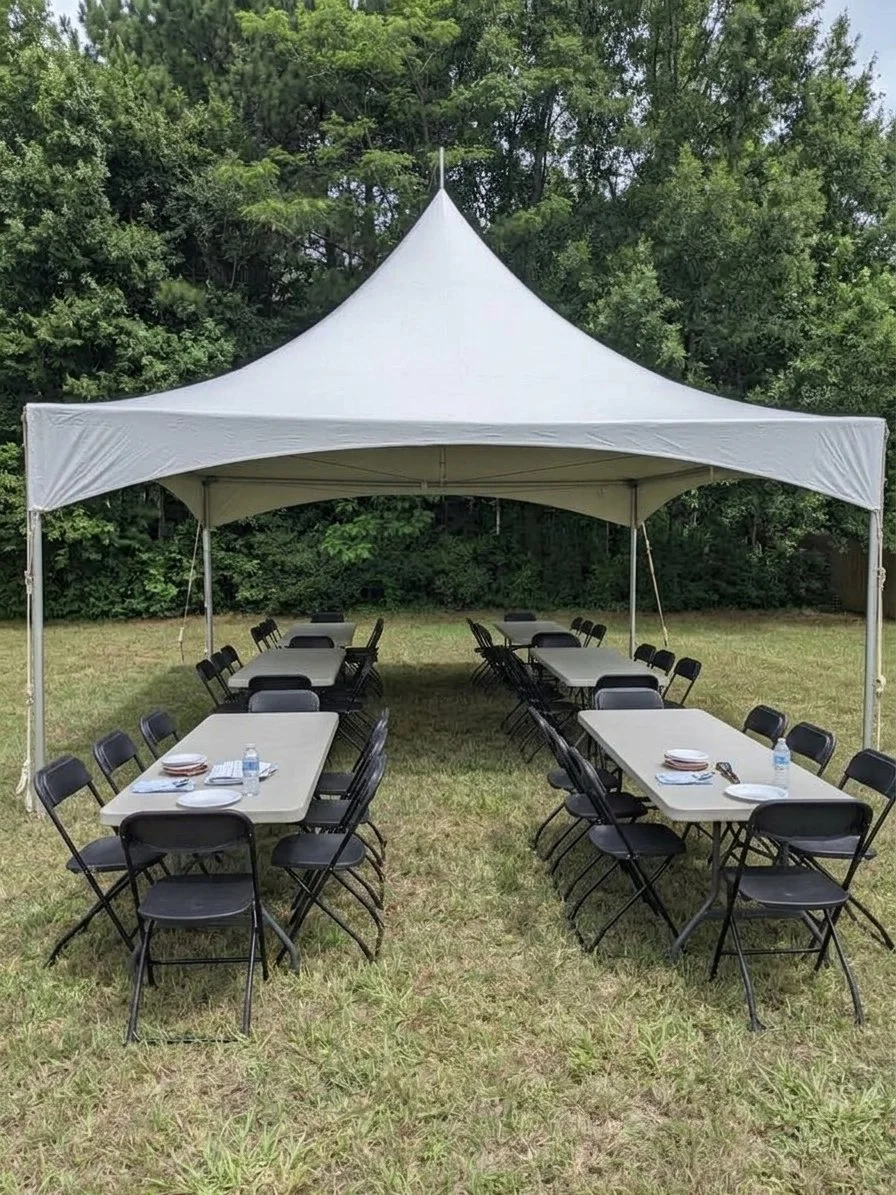 atlanta backyard party 20x20 tent