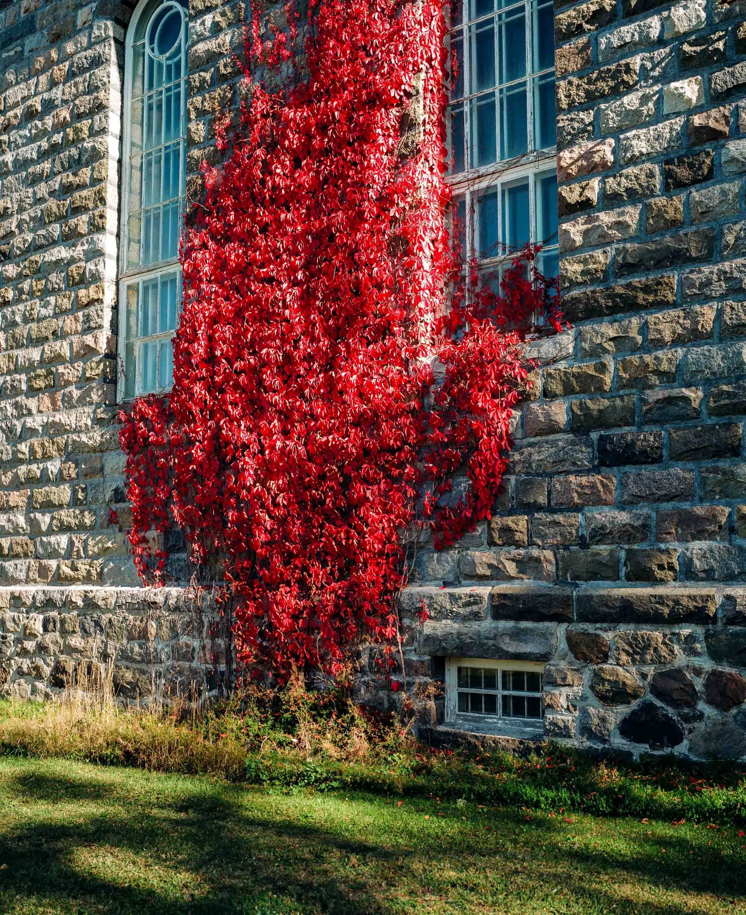 MaisonCulturelleArmandVaillancourt - Apostasia - NathanEthierMyette-8.jpg