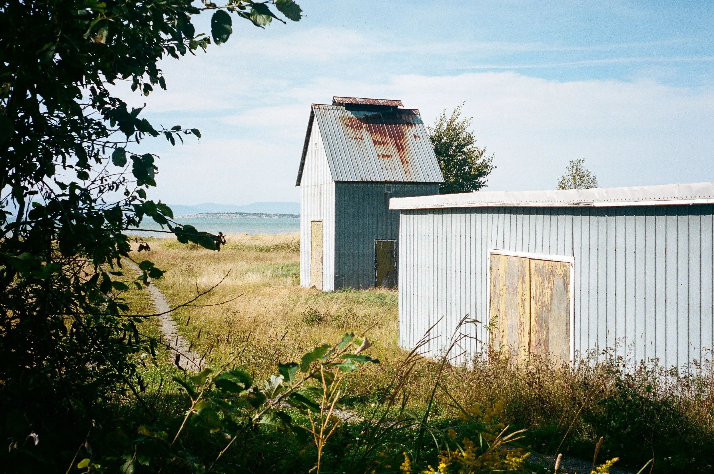 VoigtlanderBessaR_1oct2026-5.jpg