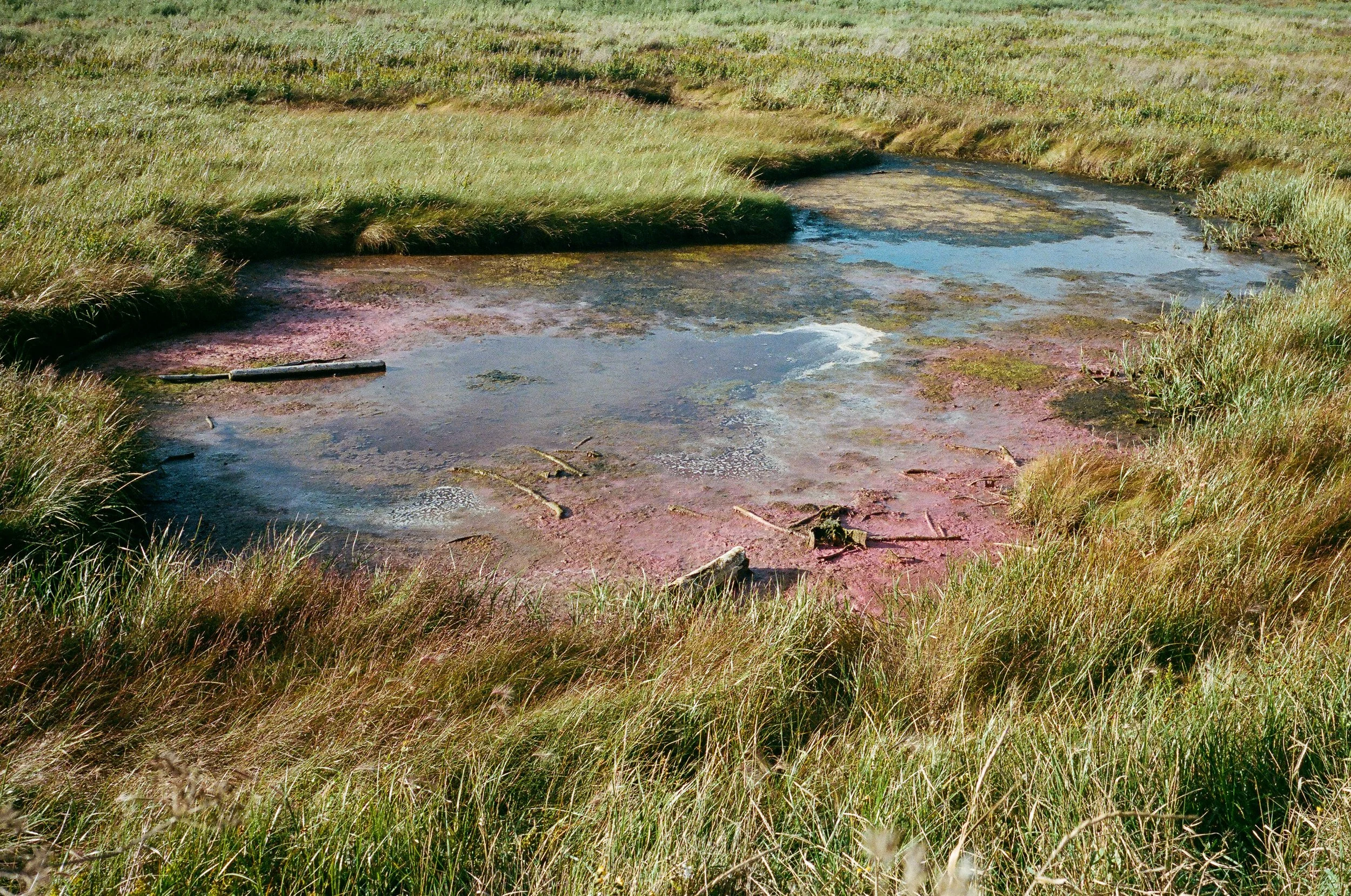 VoigtlanderBessaR_1oct2026-1.jpg