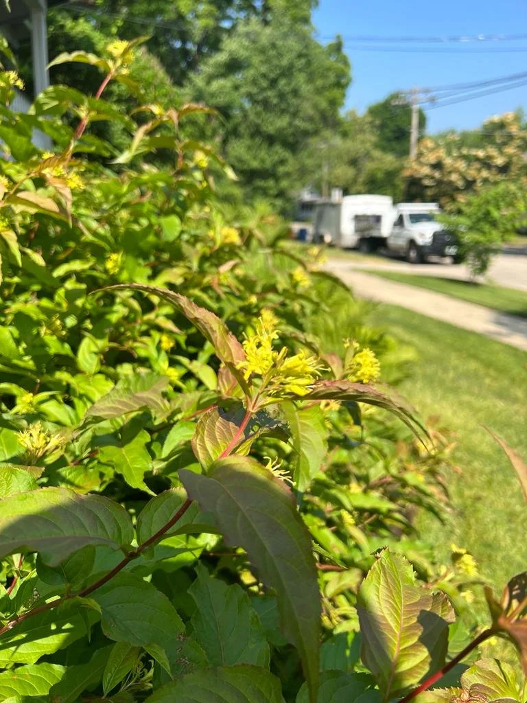 WhatsApp Image 2024-01-30 at 3.04.07 PM.jpeg