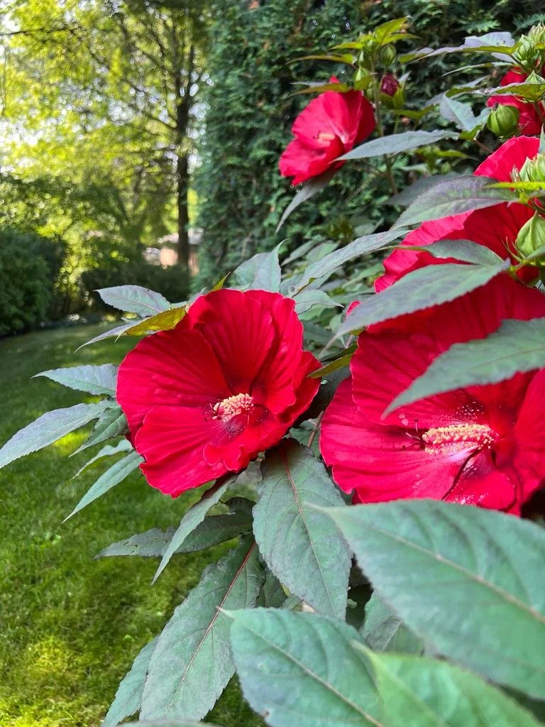 WhatsApp Image 2024-01-30 at 3.00.40 PM.jpeg