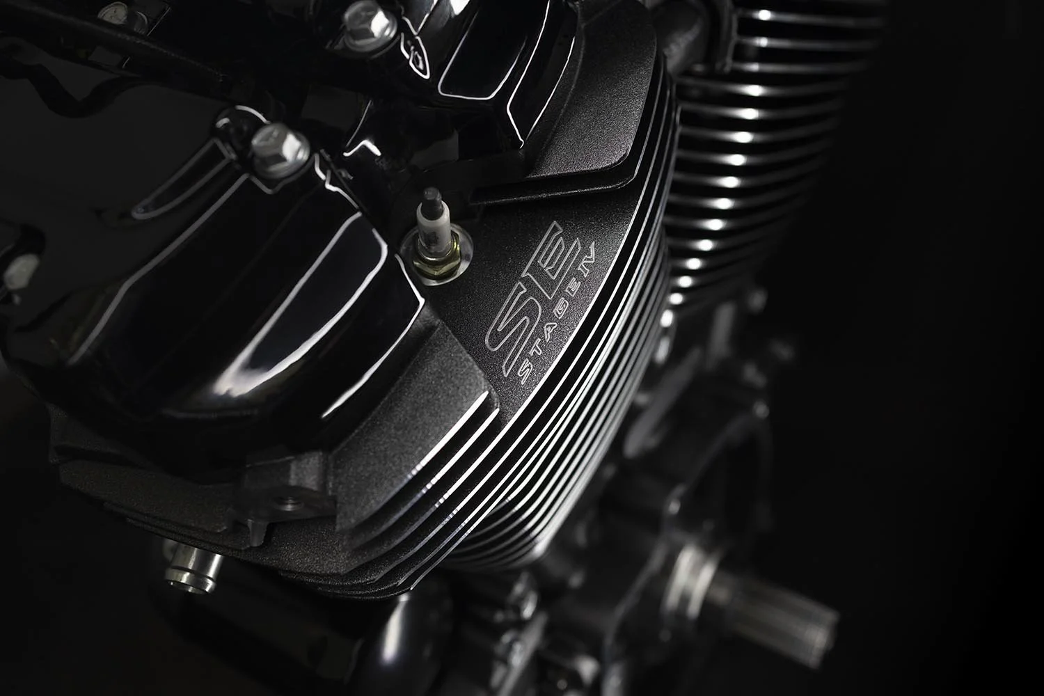 16200937_tt_stylized_alt copy.jpg