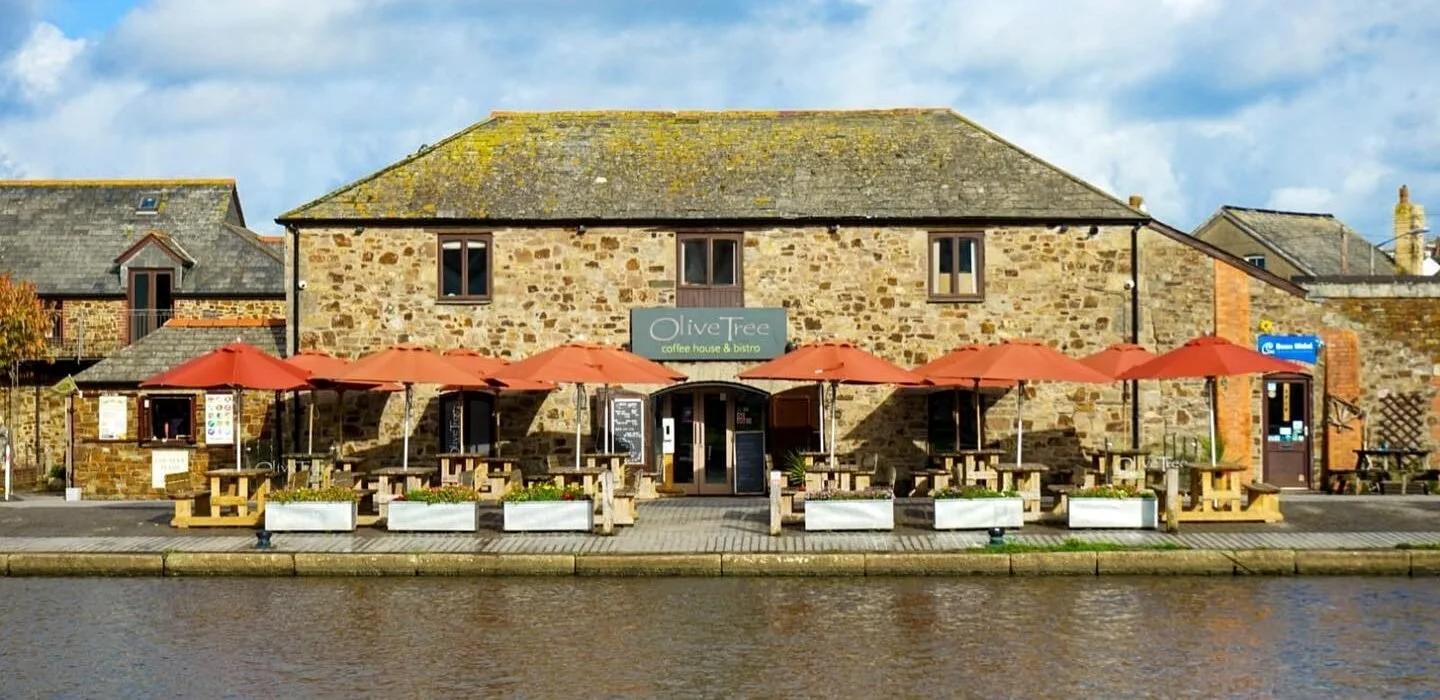 BUDE LIT FEST, Olive Tree