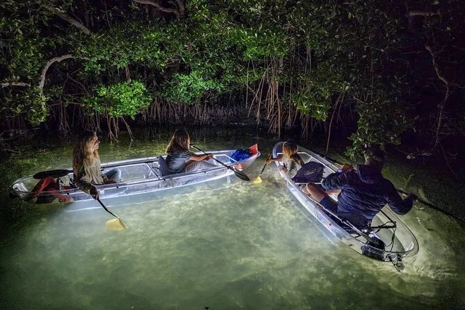 Glass Bottom Kayak Tour Anna Maria Island