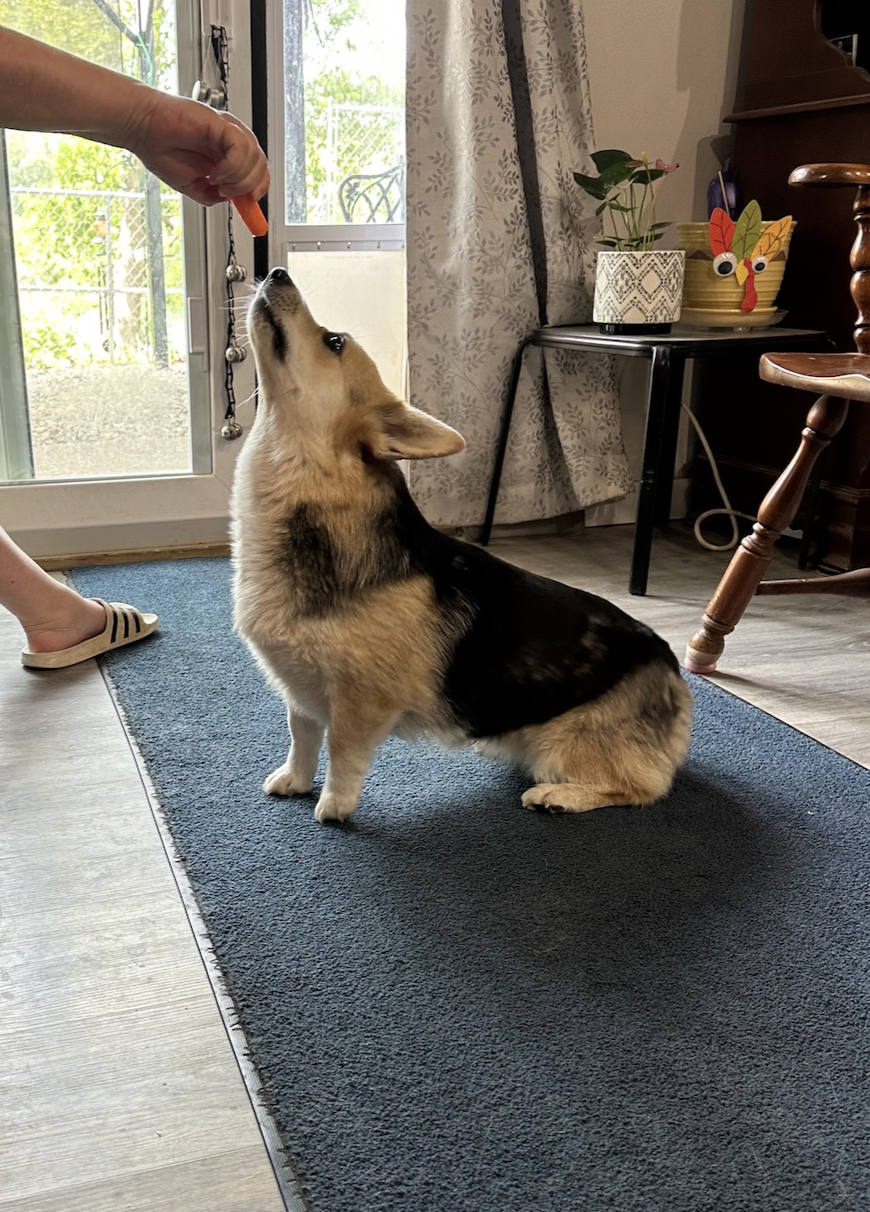 Screenshot 2024-06-17 at 1.48.14 PM.png