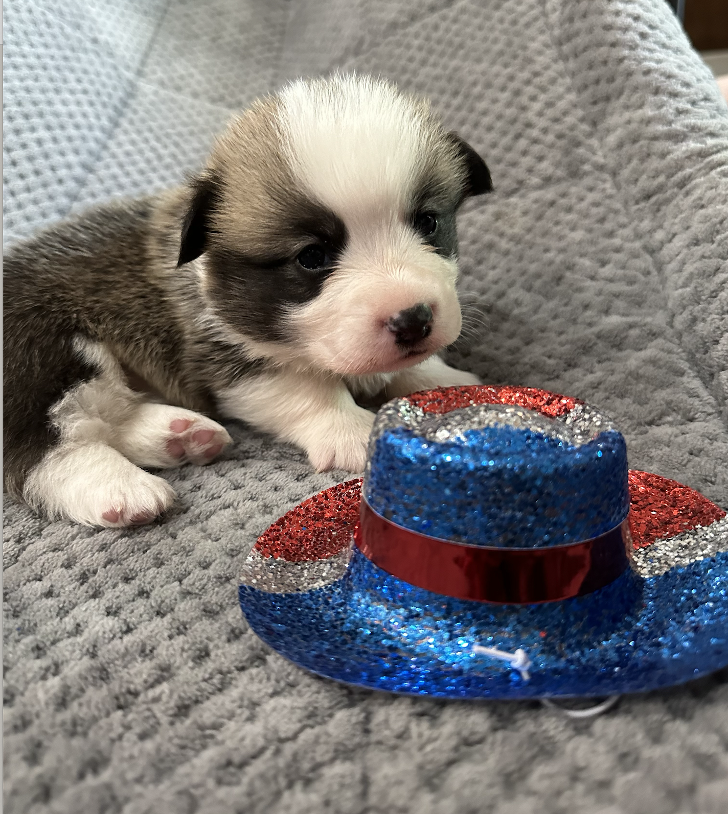 Screenshot 2024-06-17 at 1.55.33 PM.png