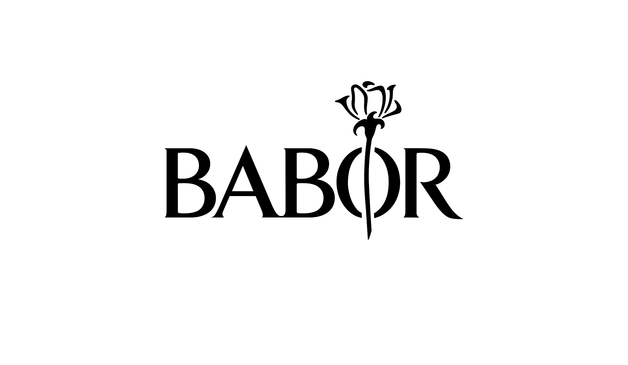 Asset 5.png
