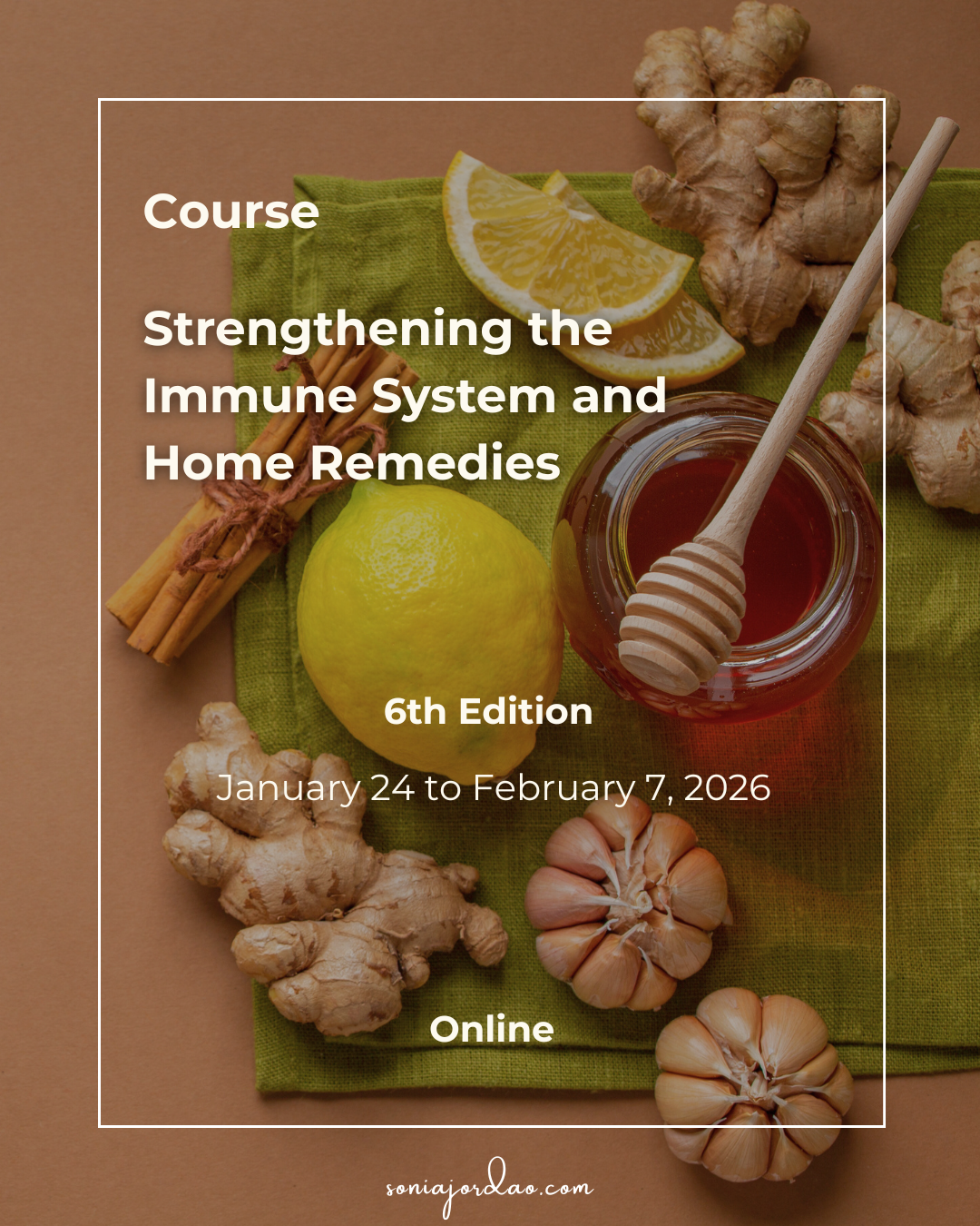 Course Strengthening the Immune System and Home Remedies