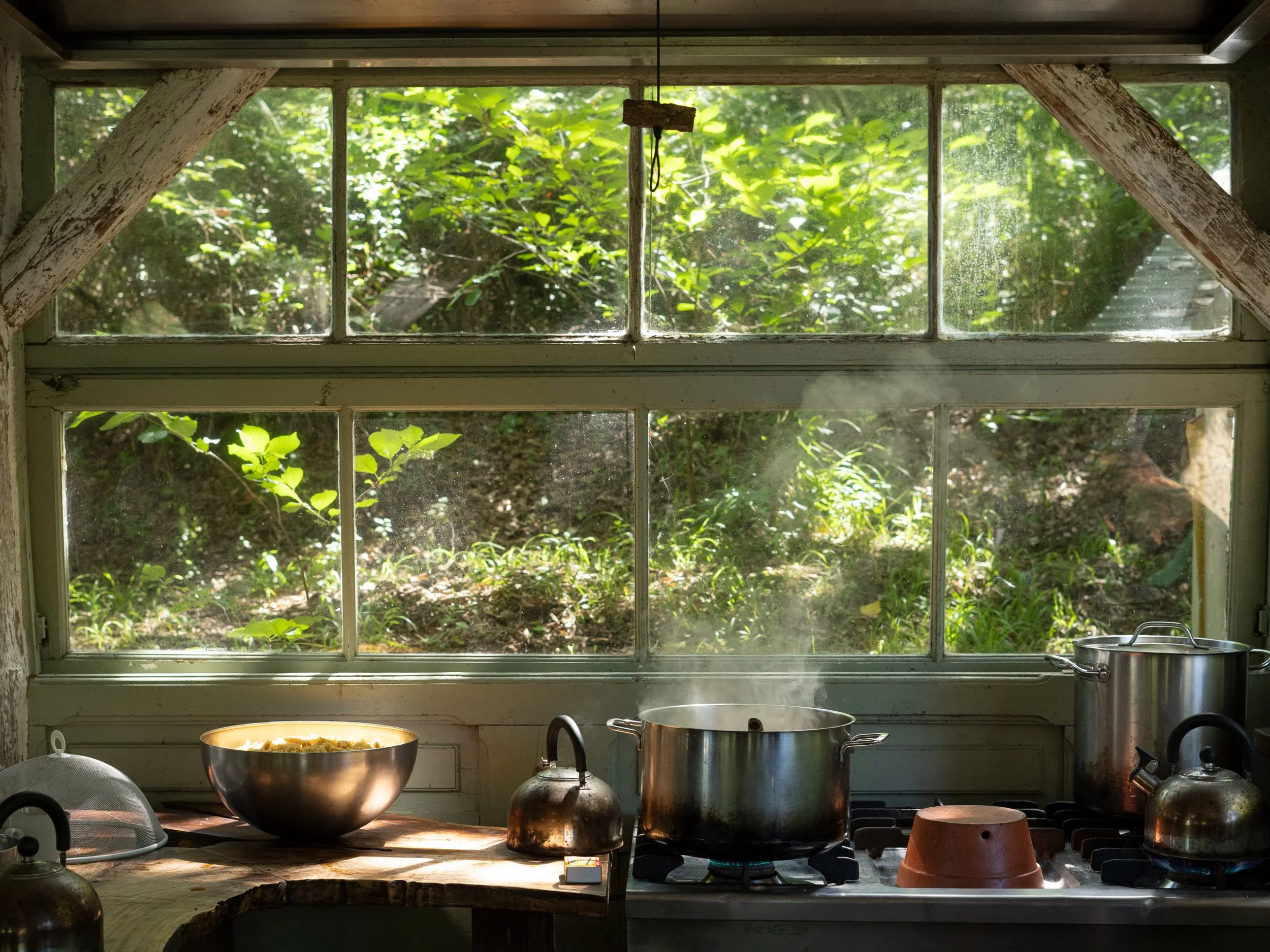 Cozinha com vista para uma floresta exuberante, com panelas no fogão a gás e uma tigela de comida na bancada.