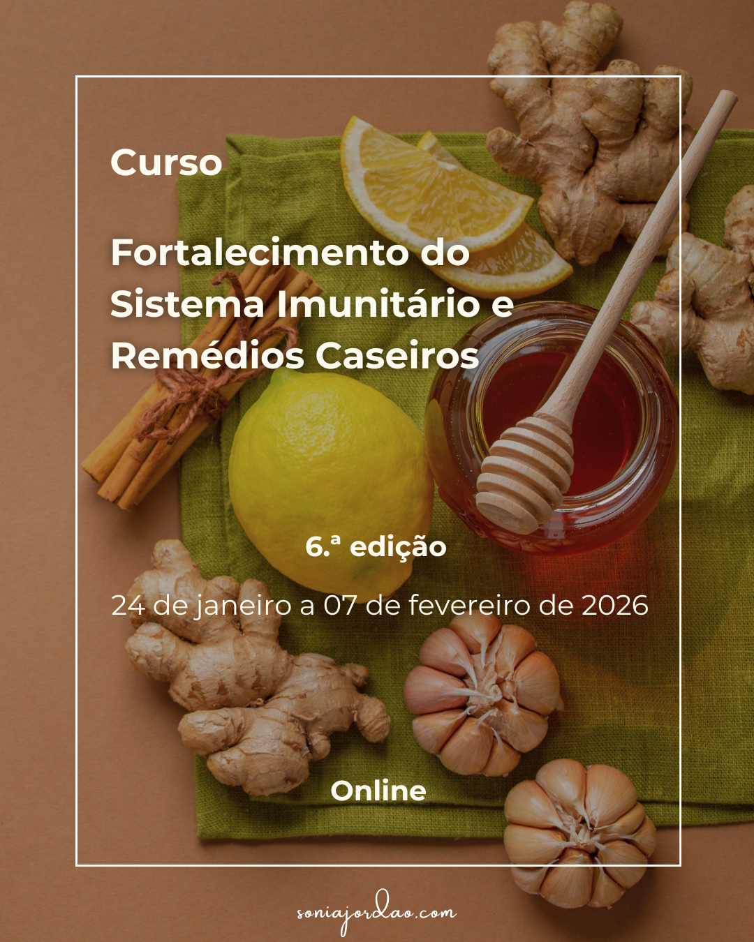 Curso de Fortalecimento do Sistema Imunitário e Remédios Caseiros