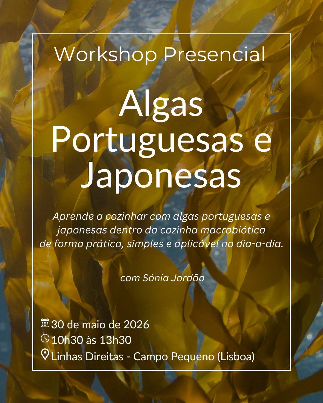 Workshop de Culinária Algas Portuguesas e Japonesas