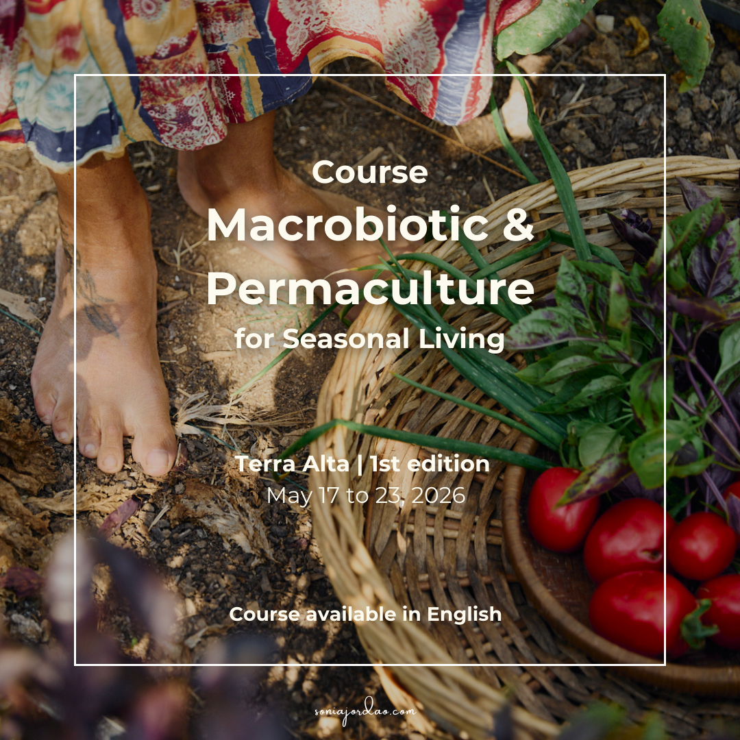 Accommodation options .png