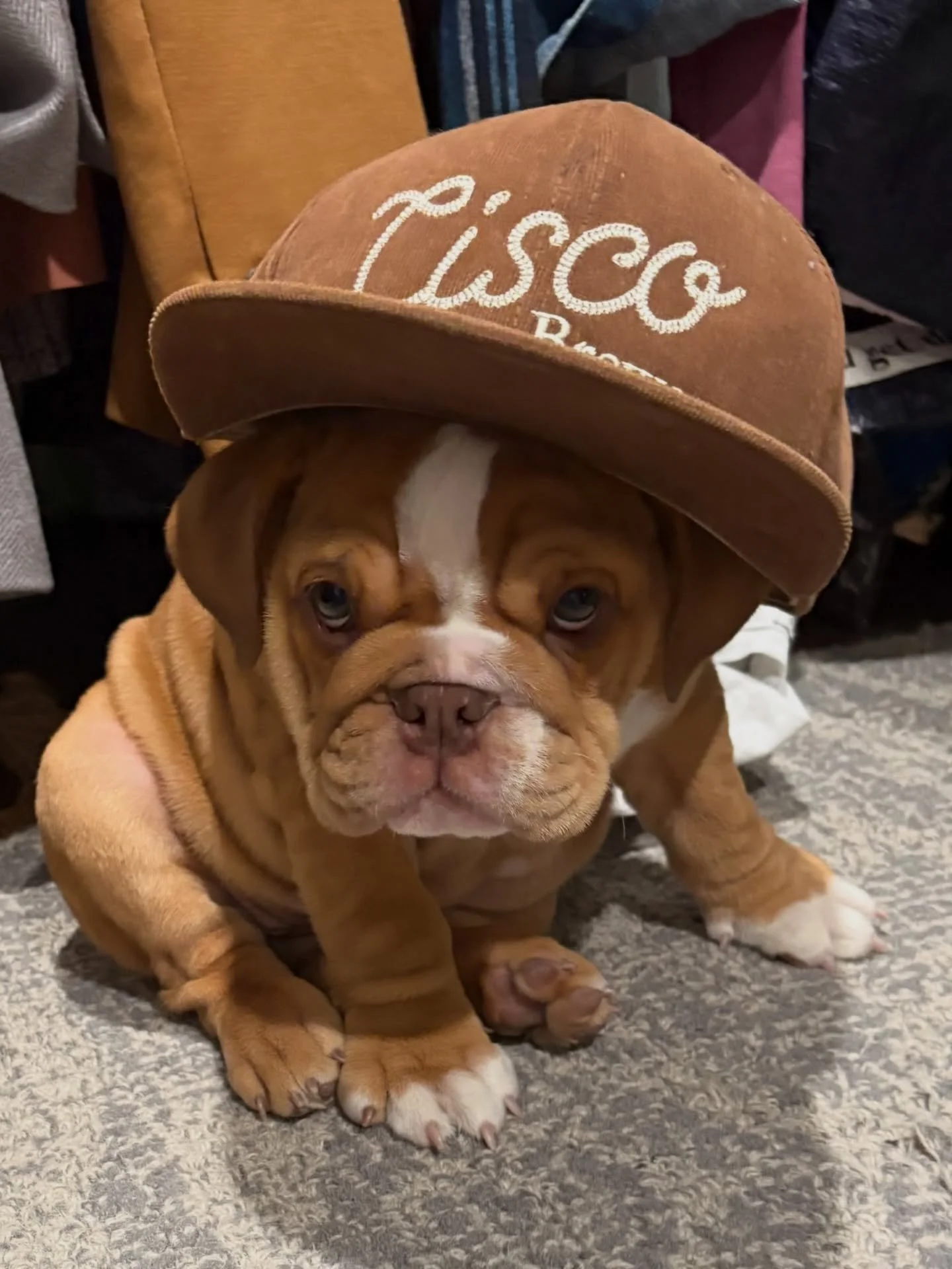 It was a long rainy week &hellip; but now its Fridayyyyyyyyyy. Did you check the Easter Weekend Lineup? 
FRI - The Slips
SAT - Buckle &amp; Shake
SUN - Doug &amp; Co. is back 😳😱

#nantucket #beachlife #bartending #easter #doggroomer