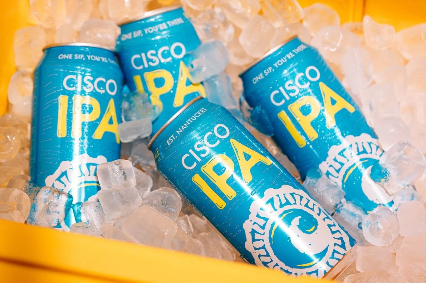National Beer Day 🤝 Cisco IPA 

#onesipyourethere #ciscoipa #ciscobrewers #nantucket