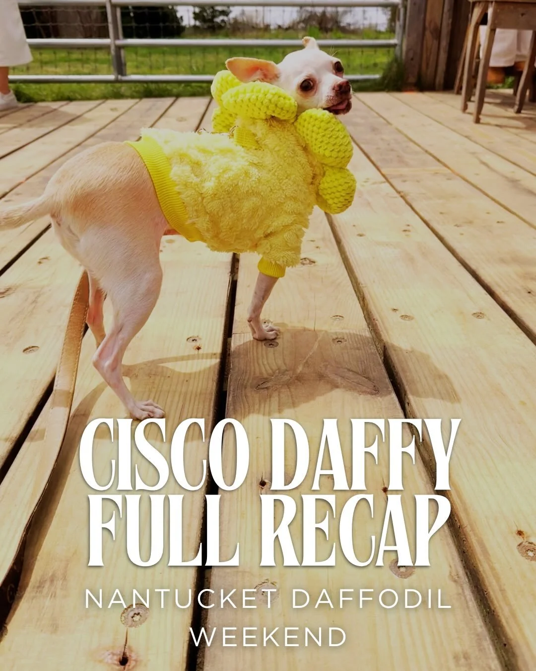 The Cisco Daffodil Weekend full roundup. You brought the hats we got the snaps.