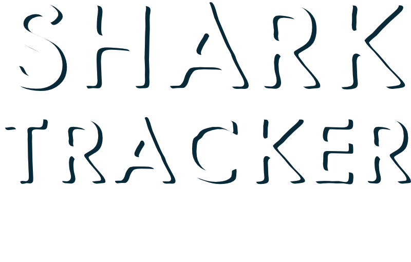 Shark Tracker Light Lager Logo