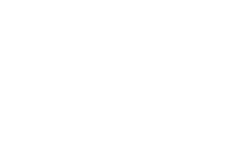 Defend the Fort Pilsner