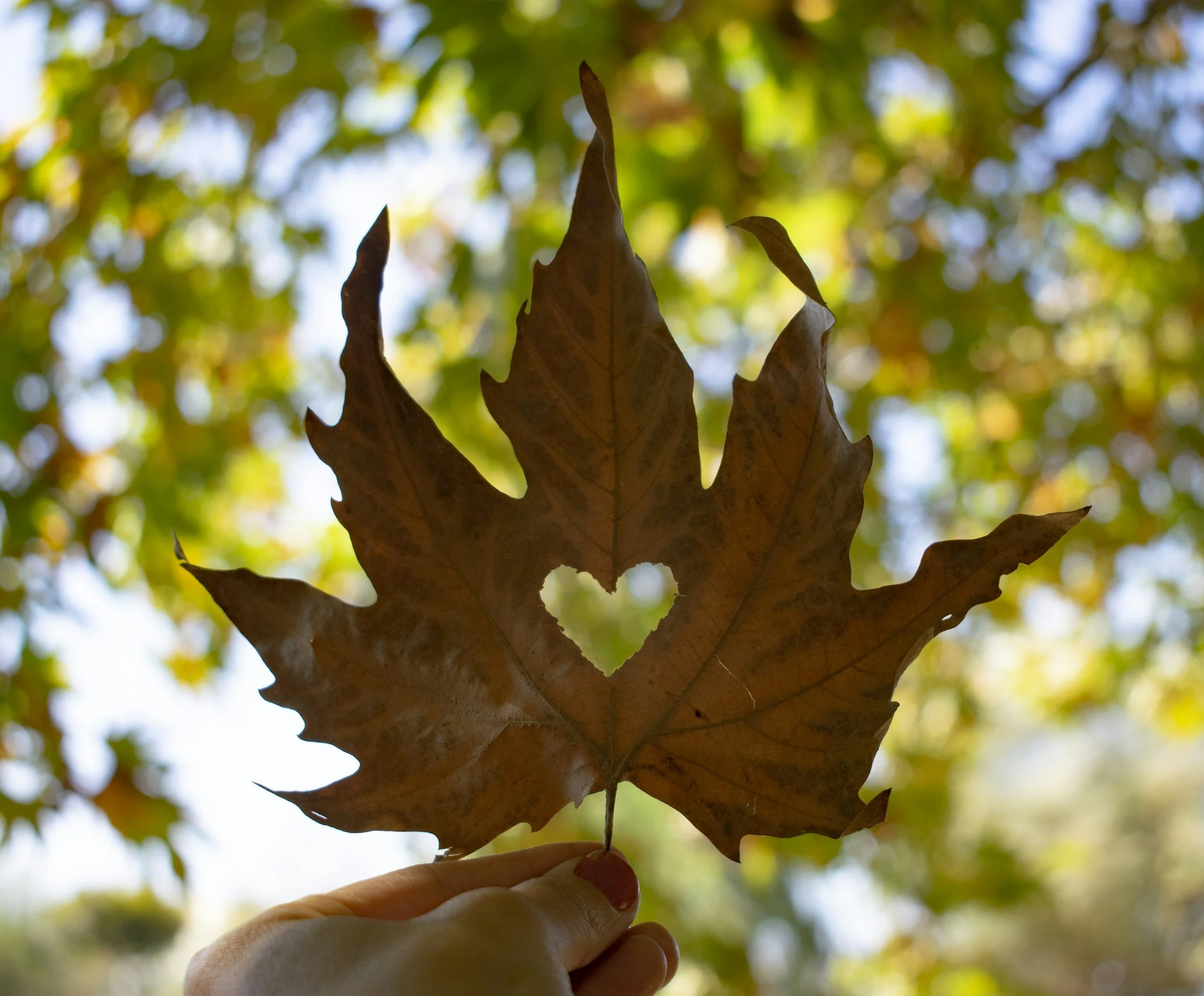 Grateful Heart Workshop for Kids