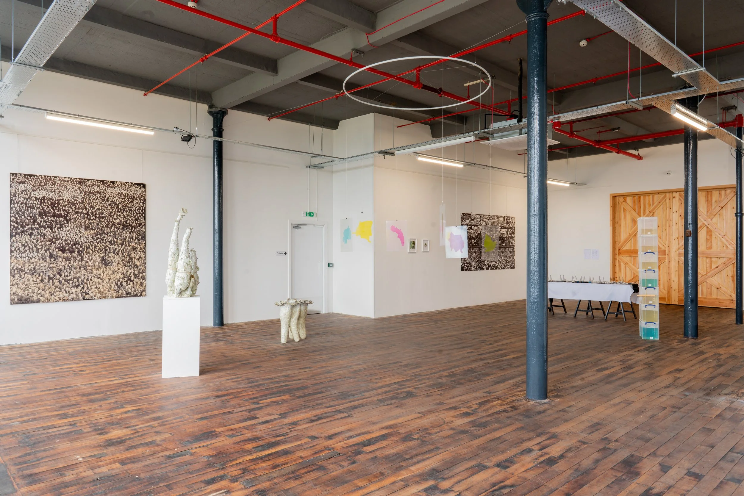 Peripheries, 8 - 23 May 2026 - Mill 2 Gallery 