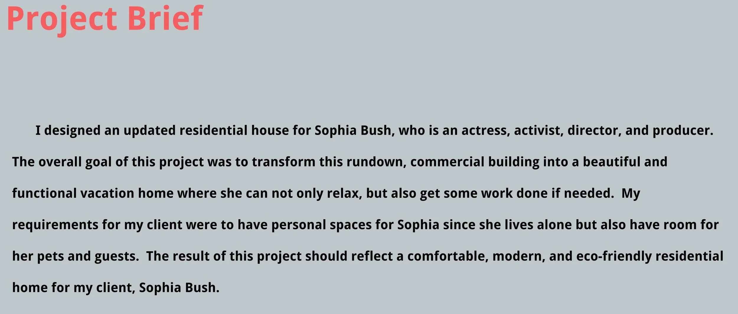Project Brief