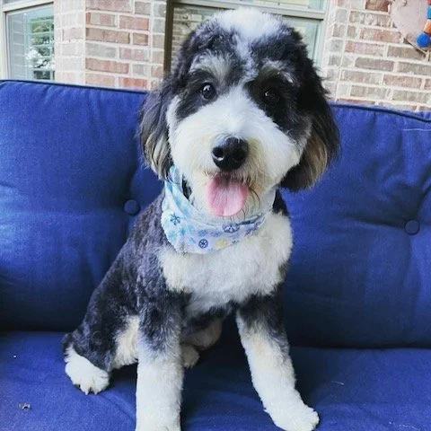 Parker