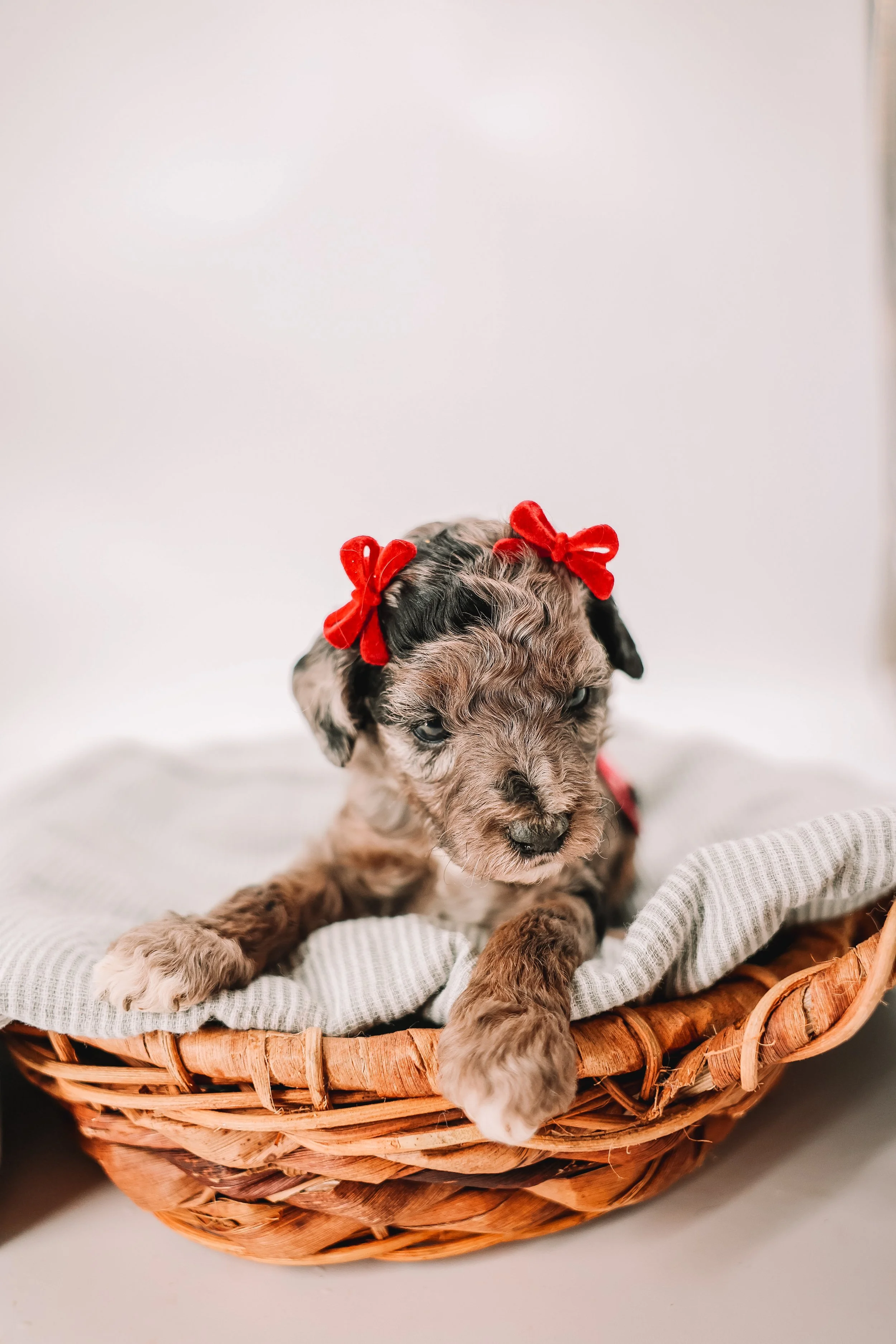 Hot Pink Girl *RESERVED*