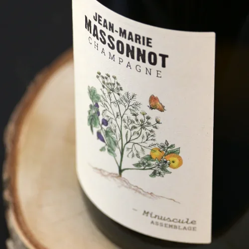 i-bienvenue_massonot.webp